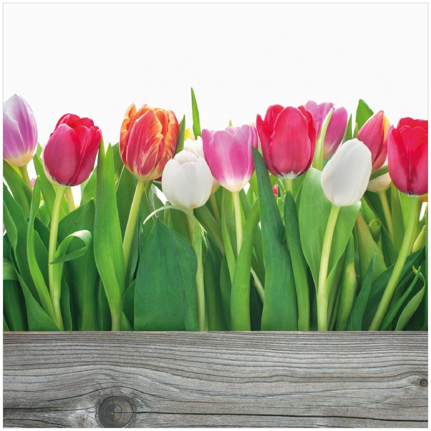 Wallario Memoboard Rote weiße und pinke Tulpen im Frühling