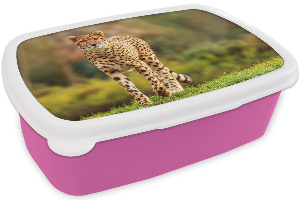 Lunchbox rosa Gras - - Brotbox Wildtiere für Erwachsene, Leopard MuchoWow Kinder, Brotdose Snackbox, Kunststoff, (2-tlg), Natur, Kunststoff Mädchen, -