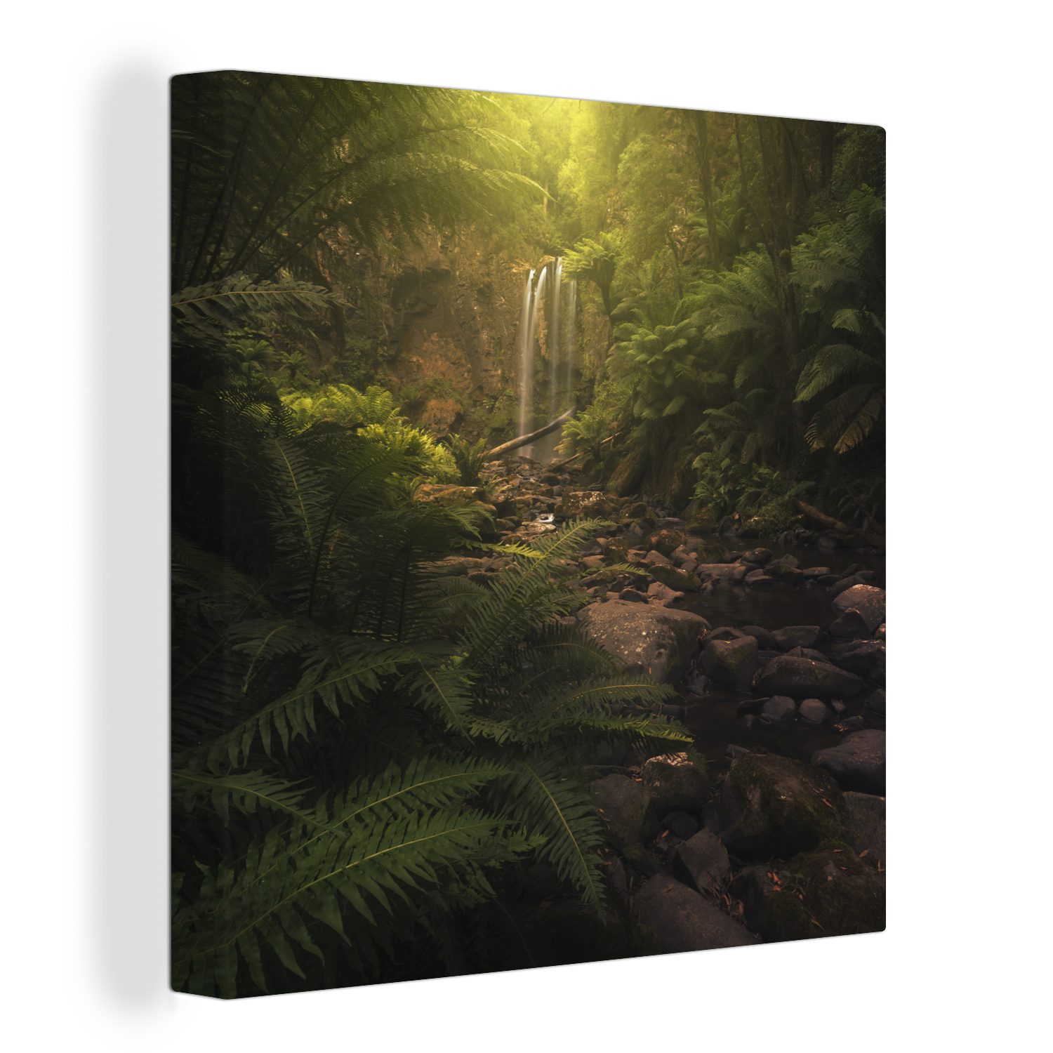 Wohnzimmer Bilder Natur, Leinwandbild für Leinwand St), (1 OneMillionCanvasses® Schlafzimmer Trockene