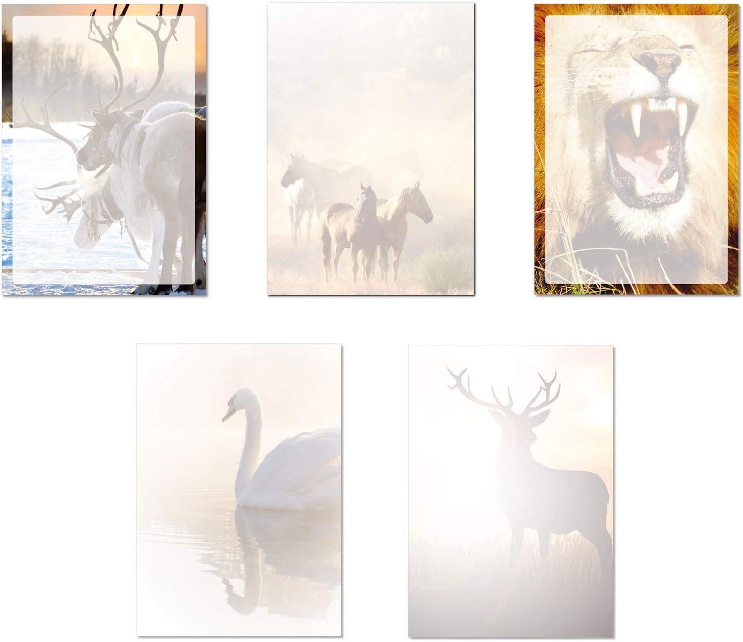 Briefpapier Set Motivpapier DIN A4 Rentiere Pferde Löwe Schwan Hirsch (MPA-5240)