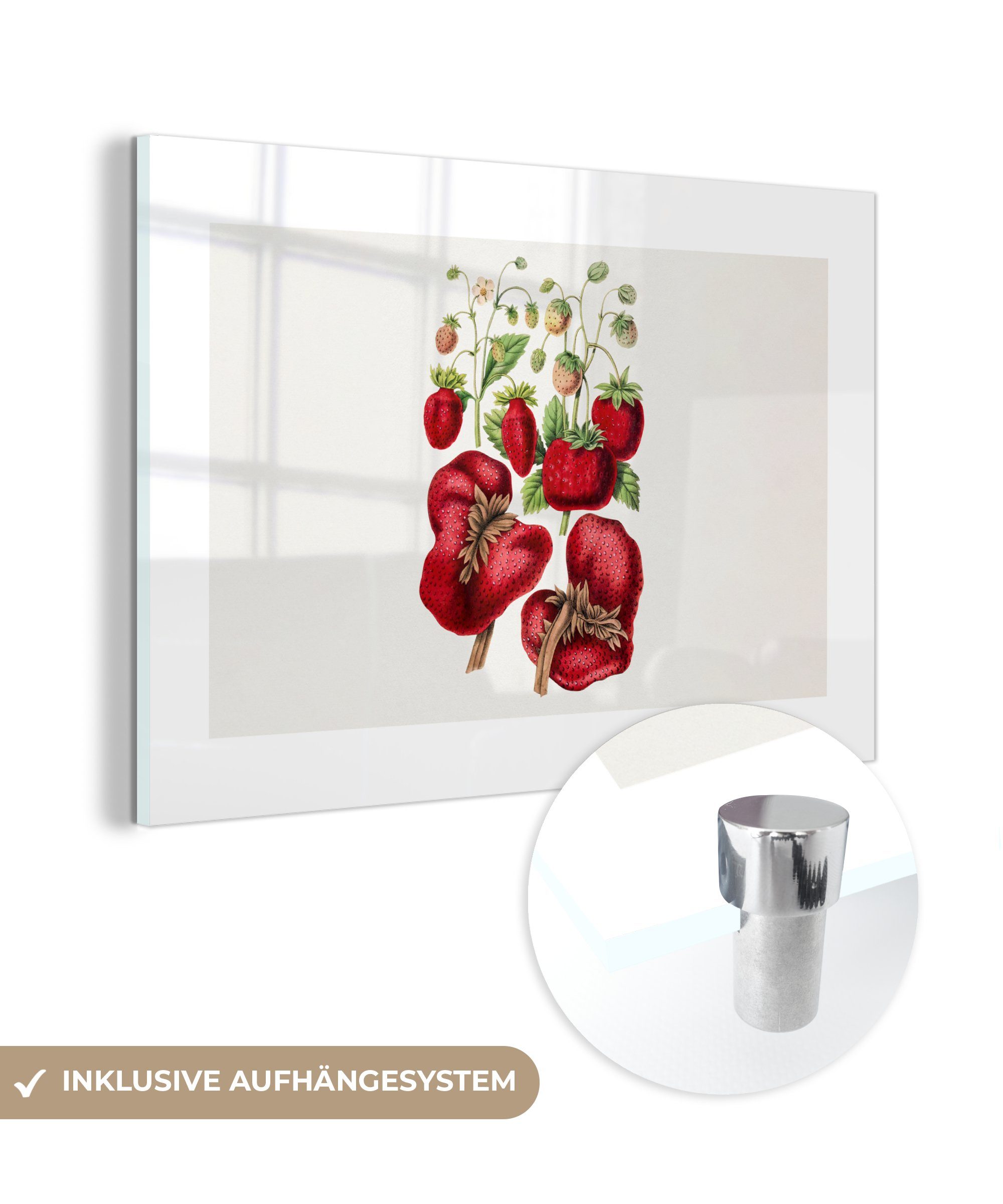 MuchoWow Acrylglasbild Erdbeeren - Obst - Pflanze, (1 St), Glasbilder - Bilder auf Glas Wandbild - Foto auf Glas - Wanddekoration