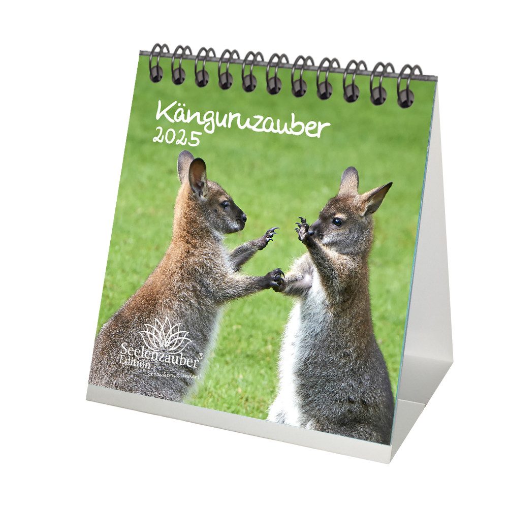 Seelenzauber Tischkalender Känguruzauber Kalender für 2025 Format 10cm x 10cm Känguru