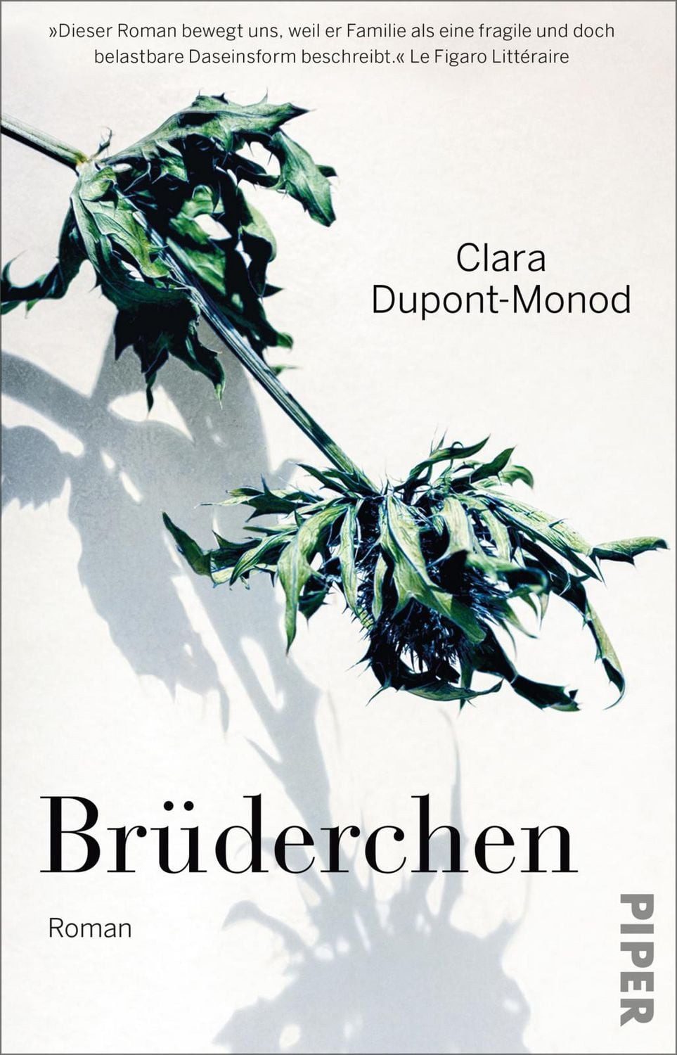 Brüderchen / Clara Dupont-Monod