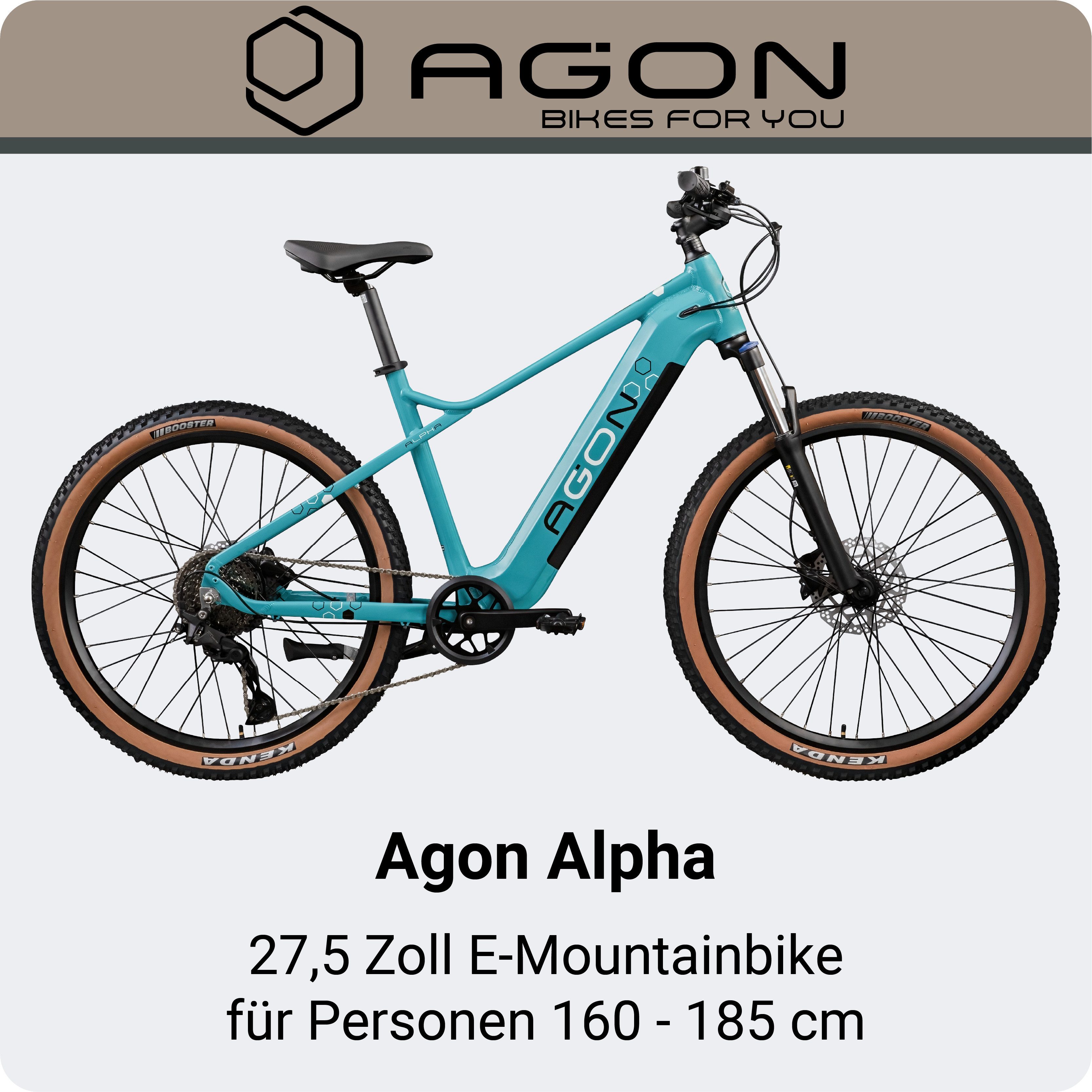 AGON E-Bike Mountainbike Alpha, 10 Gang Shimano Deore SGS T6000 Schaltwerk, Kettenschaltung, Heckmotor, 540 Wh, Pedelec, Elektrofahrrad für Damen u. Herren, MTB