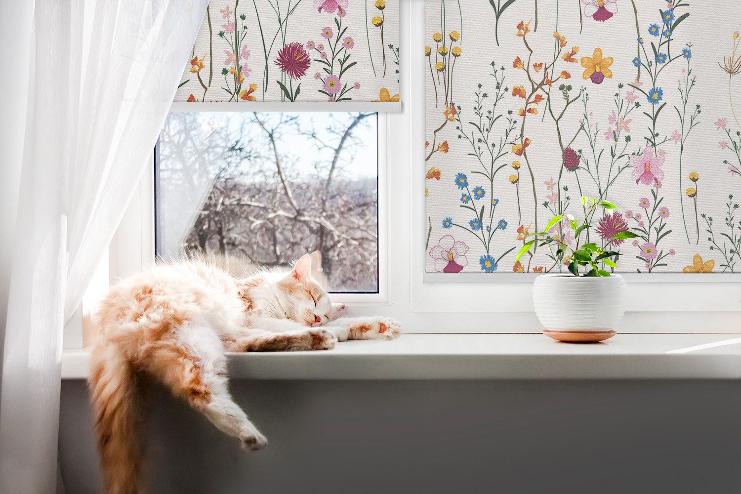 Rollo Rollos für Fenster, Seitenzugrollo, verdunkelung oder halbtransparent, Tulup, halbtransparent, Freihängend, Bedruckt