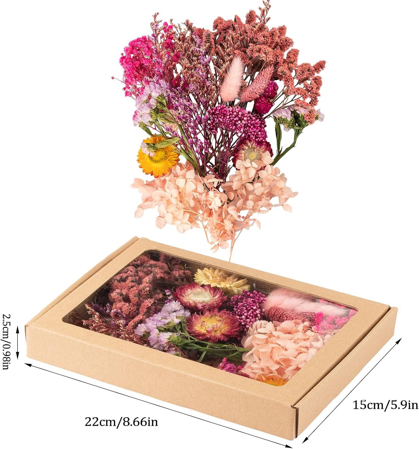 Trockenblume Klein Trockenblumen Deko Trockenblumen mit Papierbox Getrockne günstig online kaufen