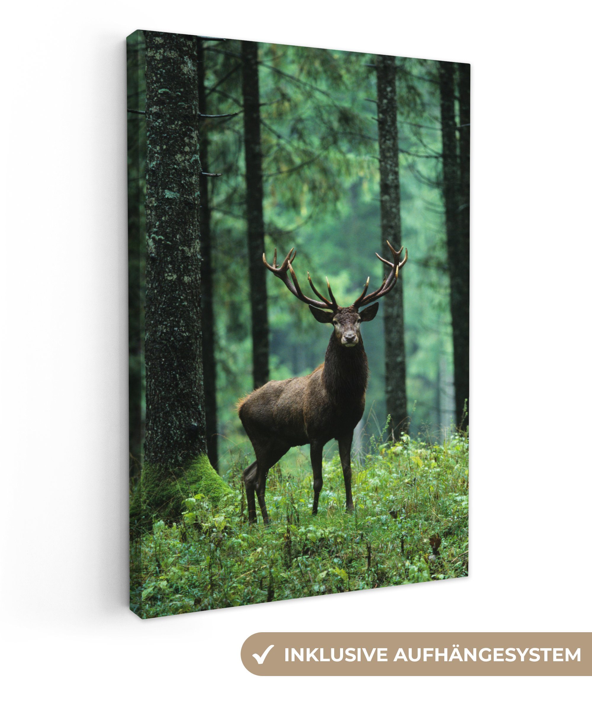 OneMillionCanvasses® Leinwandbild Hirsche - Wald - günstig online kaufen