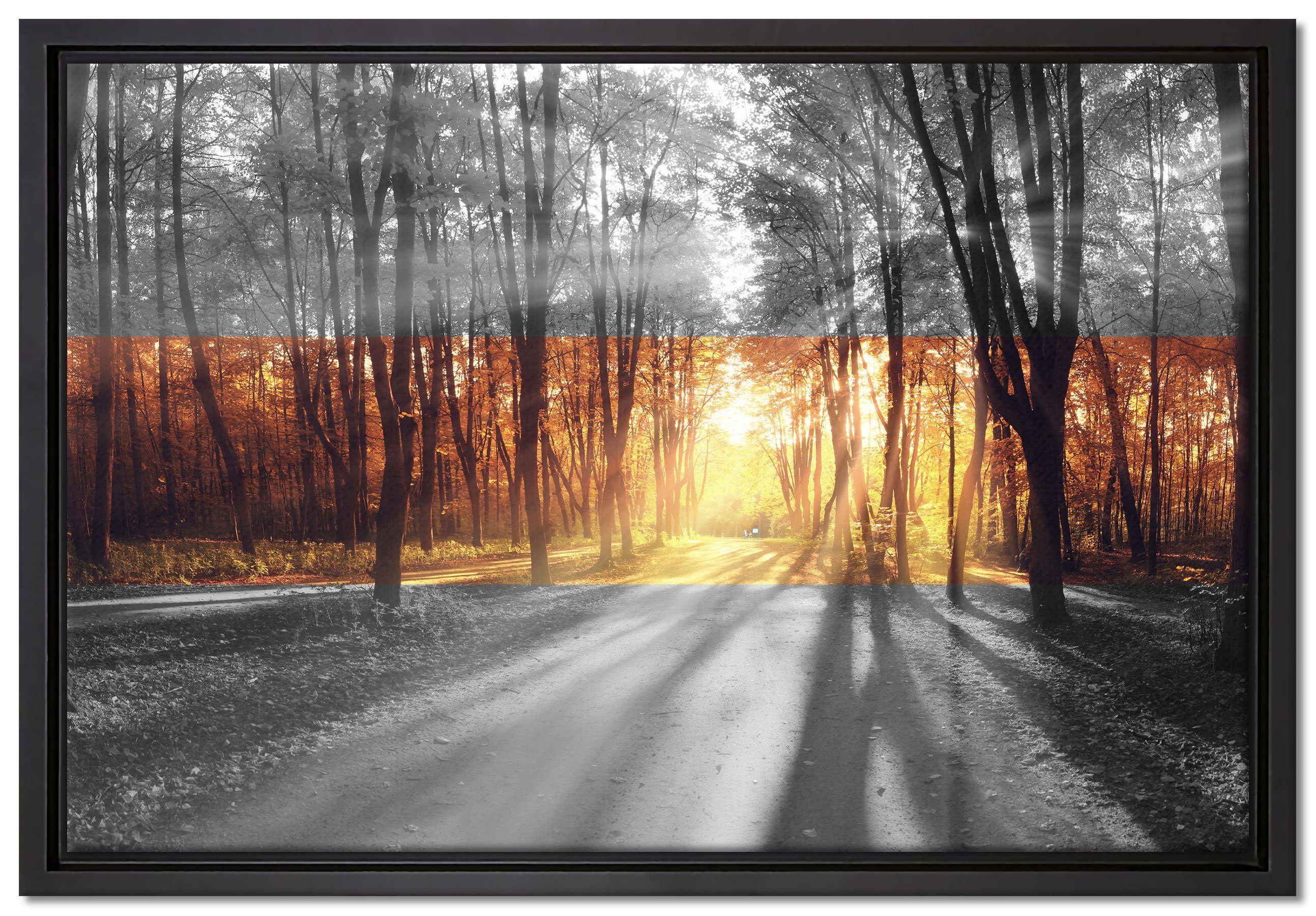 Pixxprint Leinwandbild Allee im Herbstlicht, Wanddekoration (1 St), Leinwandbild fertig bespannt, in einem Schattenfugen-Bilderrahmen gefasst, inkl. Zackenaufhänger