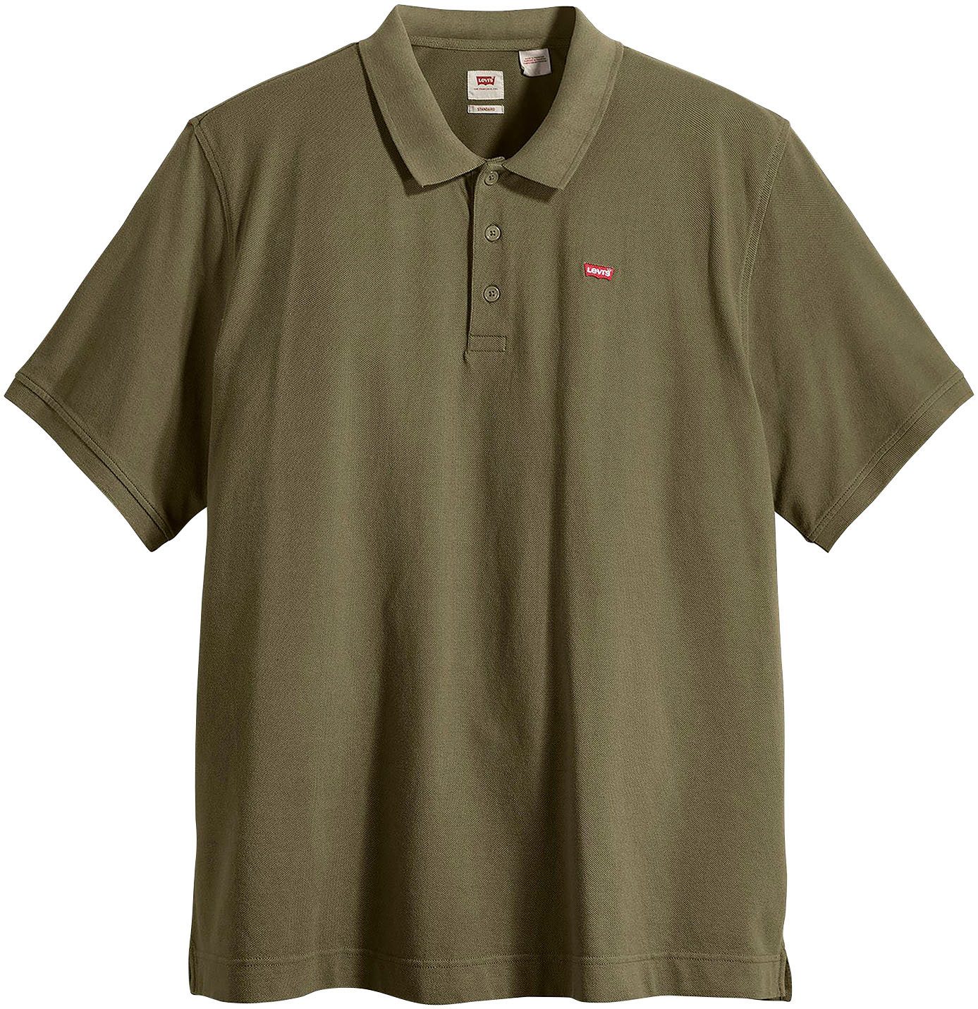OLIVE NIGHT