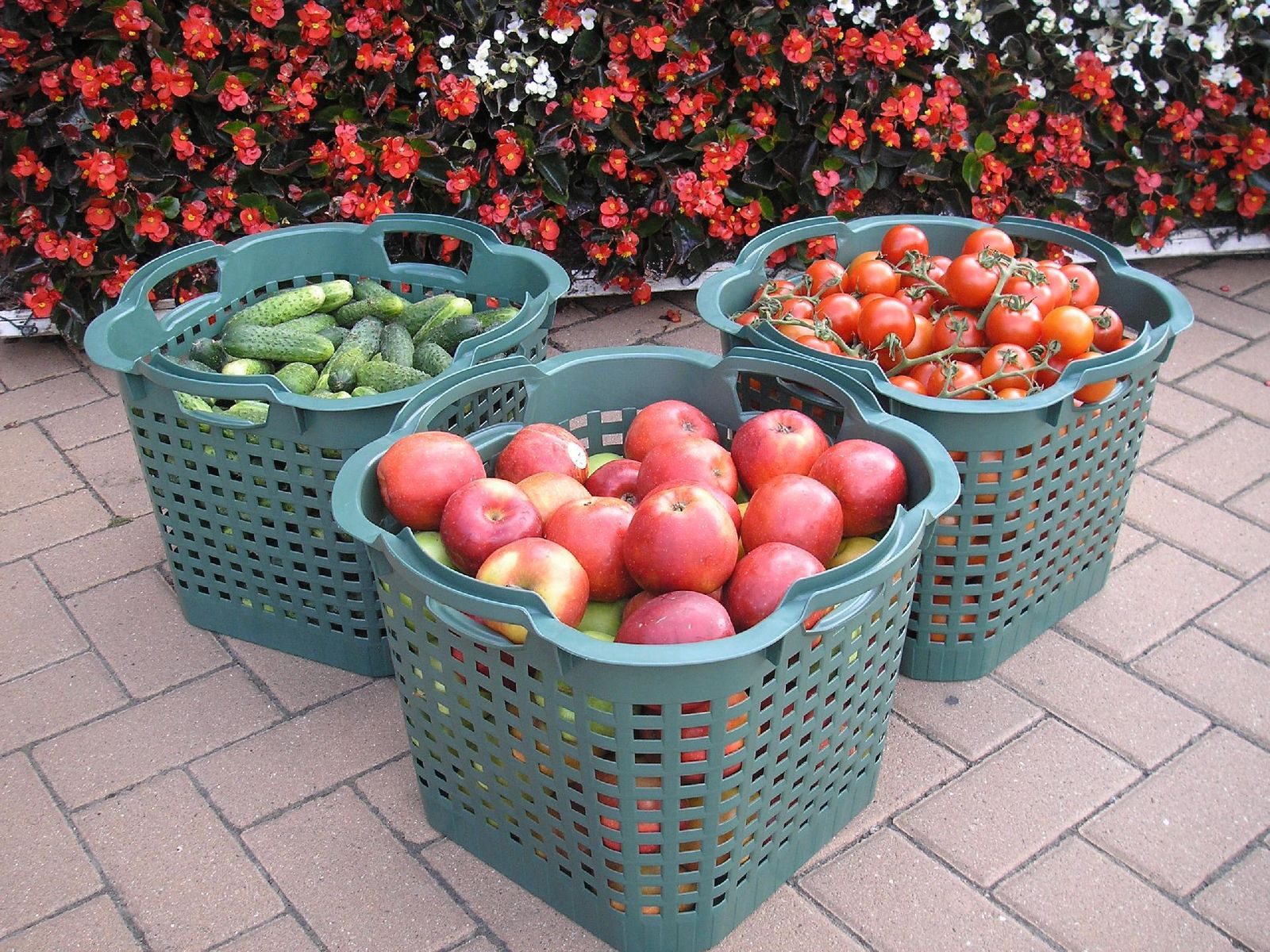 BURI Wäschekorb 5x Obstkorb 25L grün Gartenkorb Gemüsekorb stapelbar Erntekorb – Bild 2 von 5