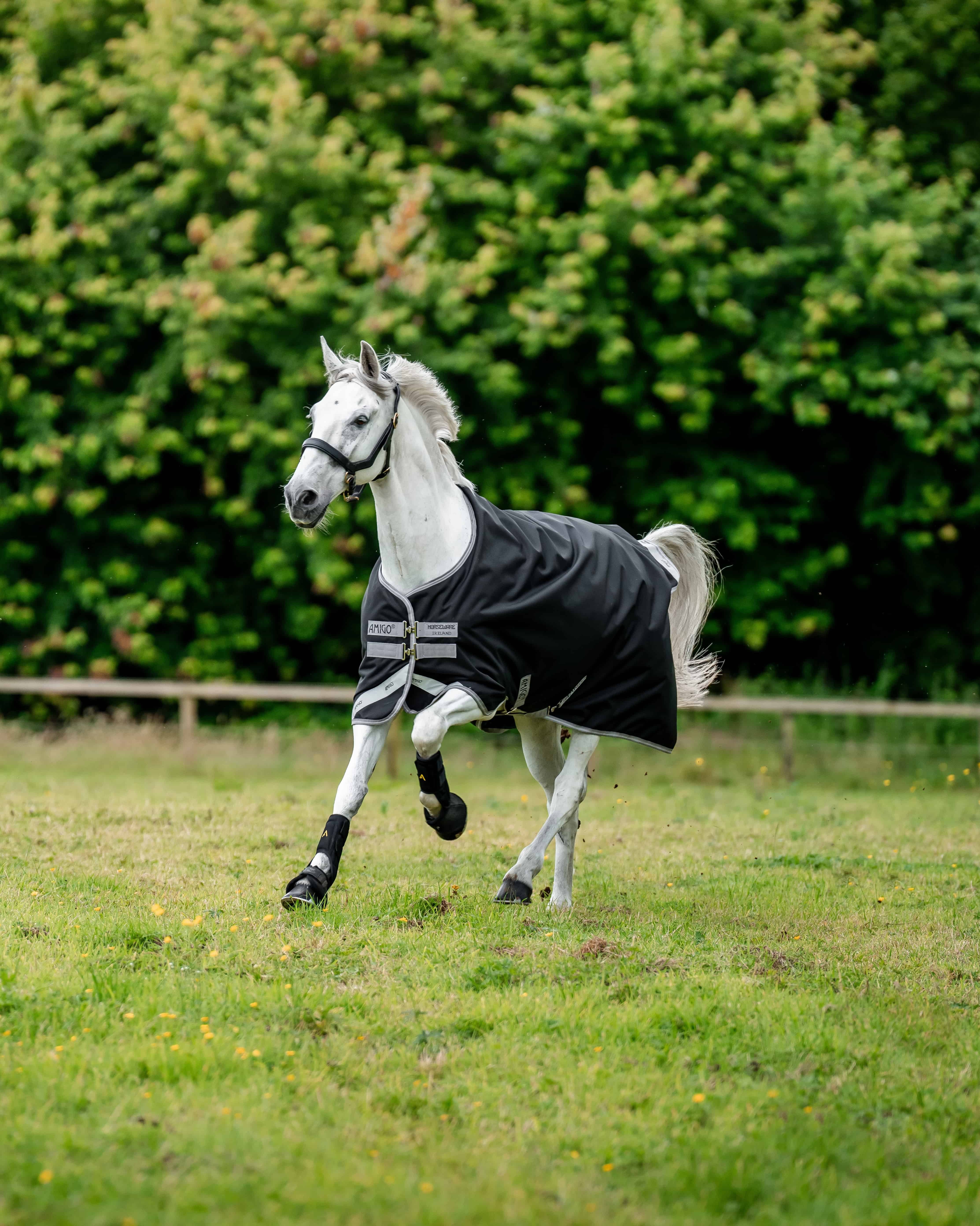 Horseware Ausreitdecke Outdoordecke Amigo Bravo 12 Original Lite 0g in schwarz-titanium grey
