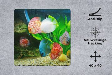 MuchoWow Gaming Mauspad Fische in einem Aquarium (1-St), Mousepad mit Rutschfester Unterseite, Gaming, 40x40 cm, XXL, Großes