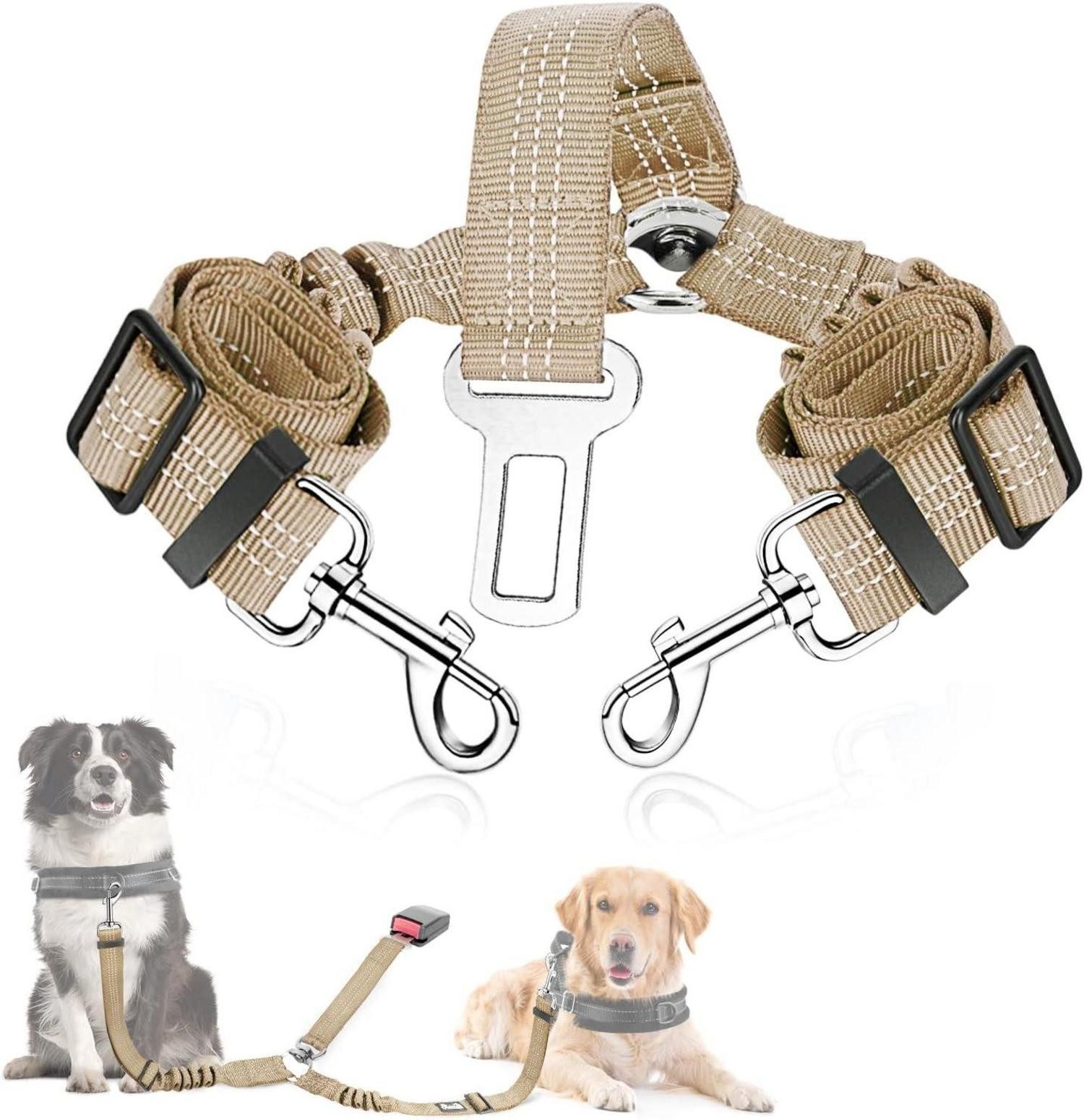 BAYNOS Halsband & Leine Set – Atmungsaktives Neopren, Verstellbar, Reflektierend, Für Kleine Bis Große Hunde