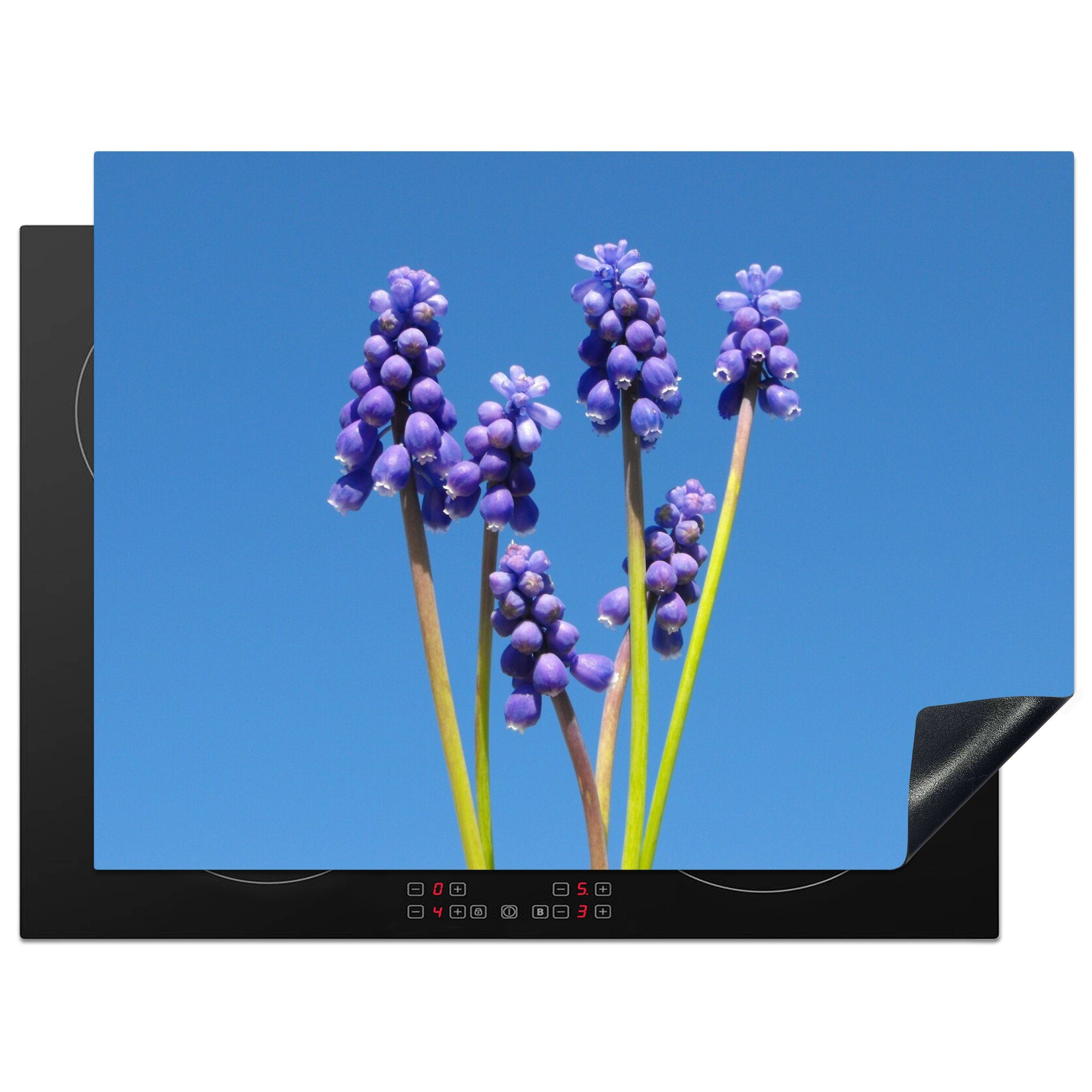 MuchoWow Herdblende-/Abdeckplatte Traubenhyazinthen und ein klarer blauer Himmel im Hintergrund, Vinyl, (1 tlg), 70x52 cm, Mobile Arbeitsfläche nutzbar, Ceranfeldabdeckung