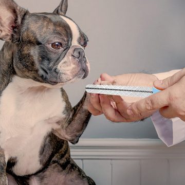 yozhiqu Hundeschermaschine Reinigen und Pflegen des Krallenschleifers für Katzen und Hunde, Elektrische Nagelknipser für Haustiere, Hundeknipser, USB-Aufladung