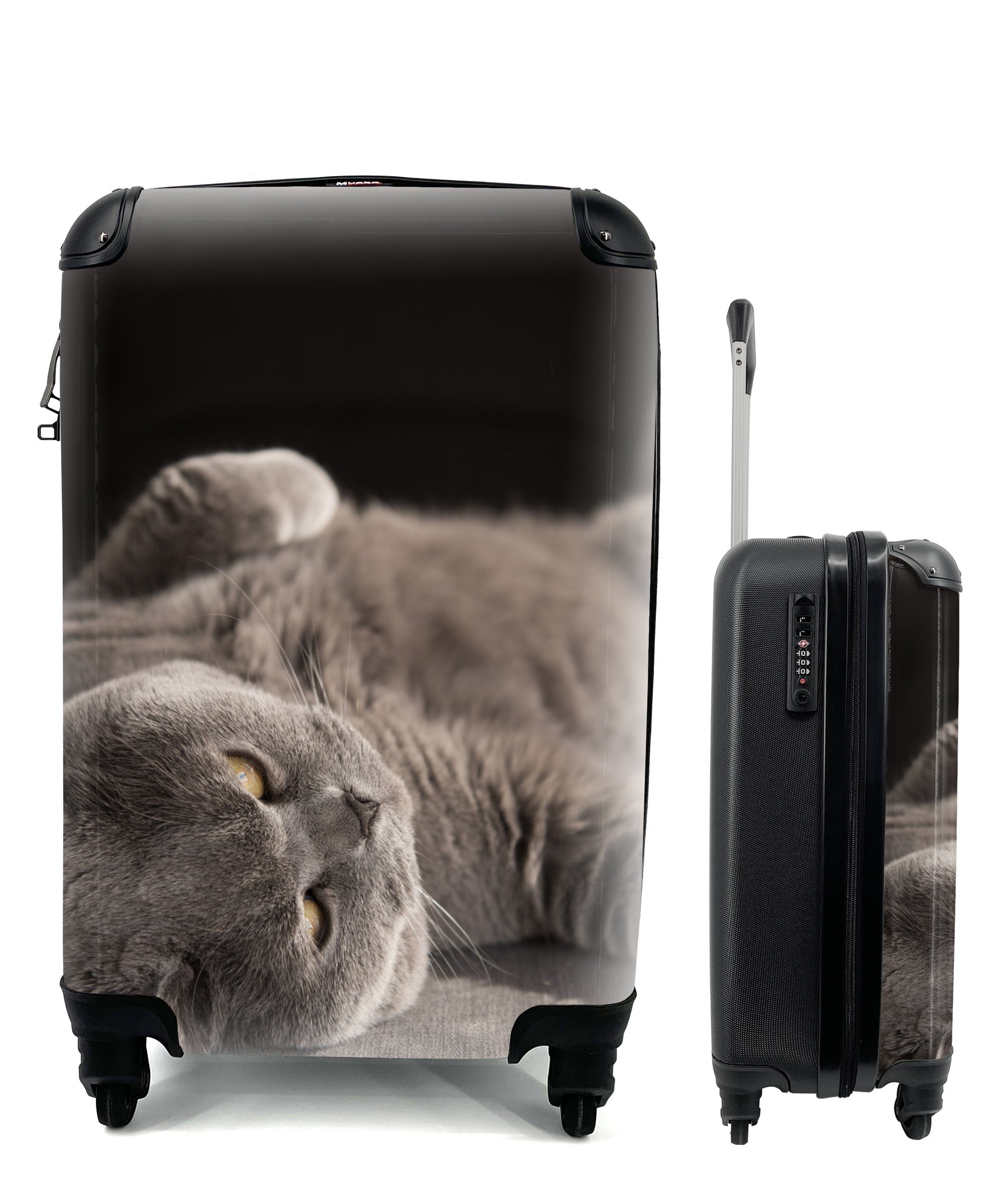 Handgepäckkoffer mit Grau, Reisekoffer Ferien, 4 MuchoWow - Handgepäck rollen, - für Trolley, Reisetasche Rollen, Katze Tier