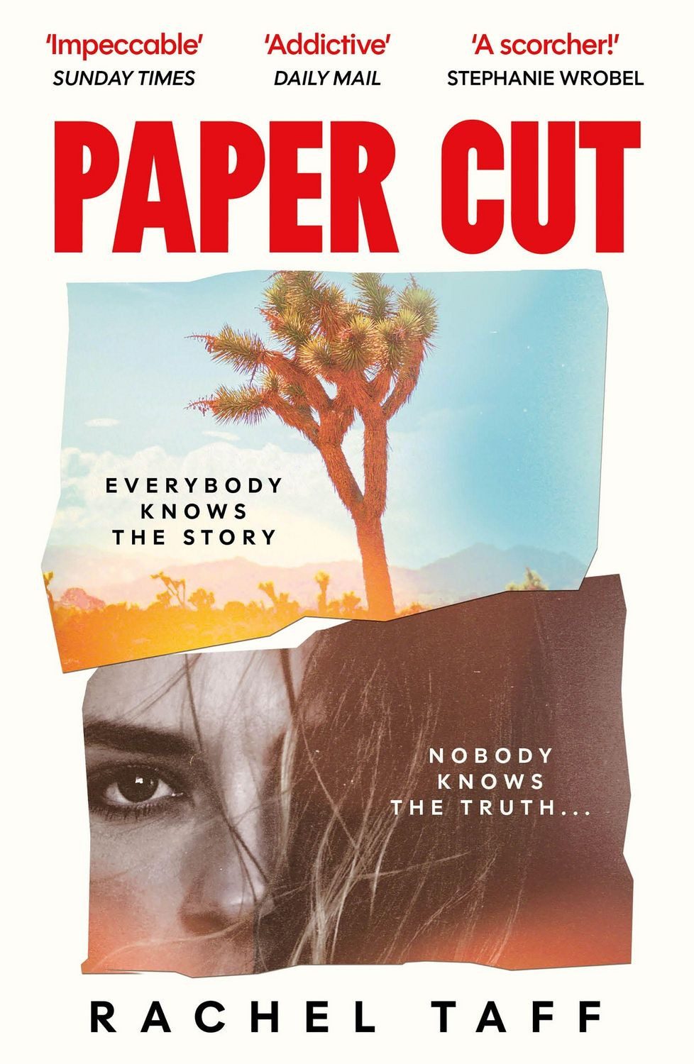 Paper Cut / Rachel Taff