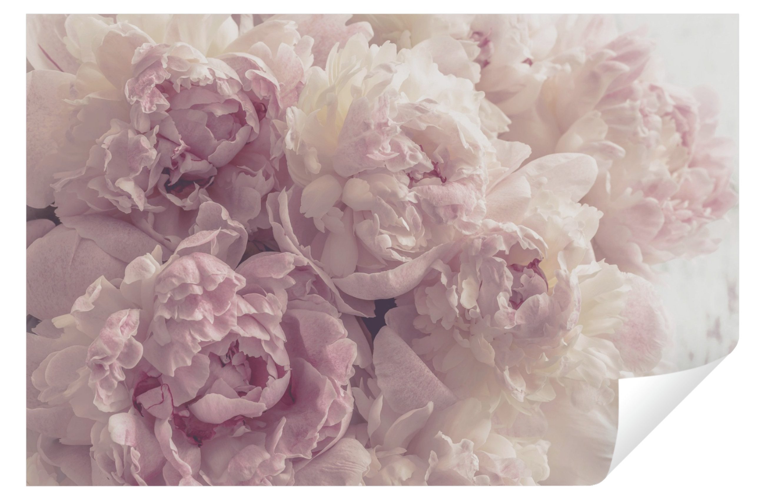 Wallarena Vliestapete Blumen Rosen Wohnzimmer Schlafzimmer günstig online kaufen