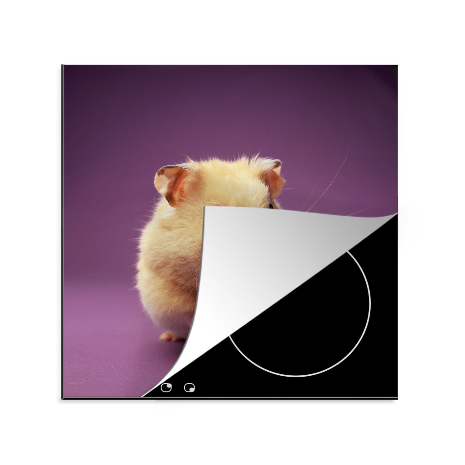 MuchoWow Herdblende-/Abdeckplatte Nahaufnahme eines Hamsters auf einem lila Hintergrund, Vinyl, (1 tlg), 78x78 cm, Ceranfeldabdeckung, Arbeitsplatte für küche