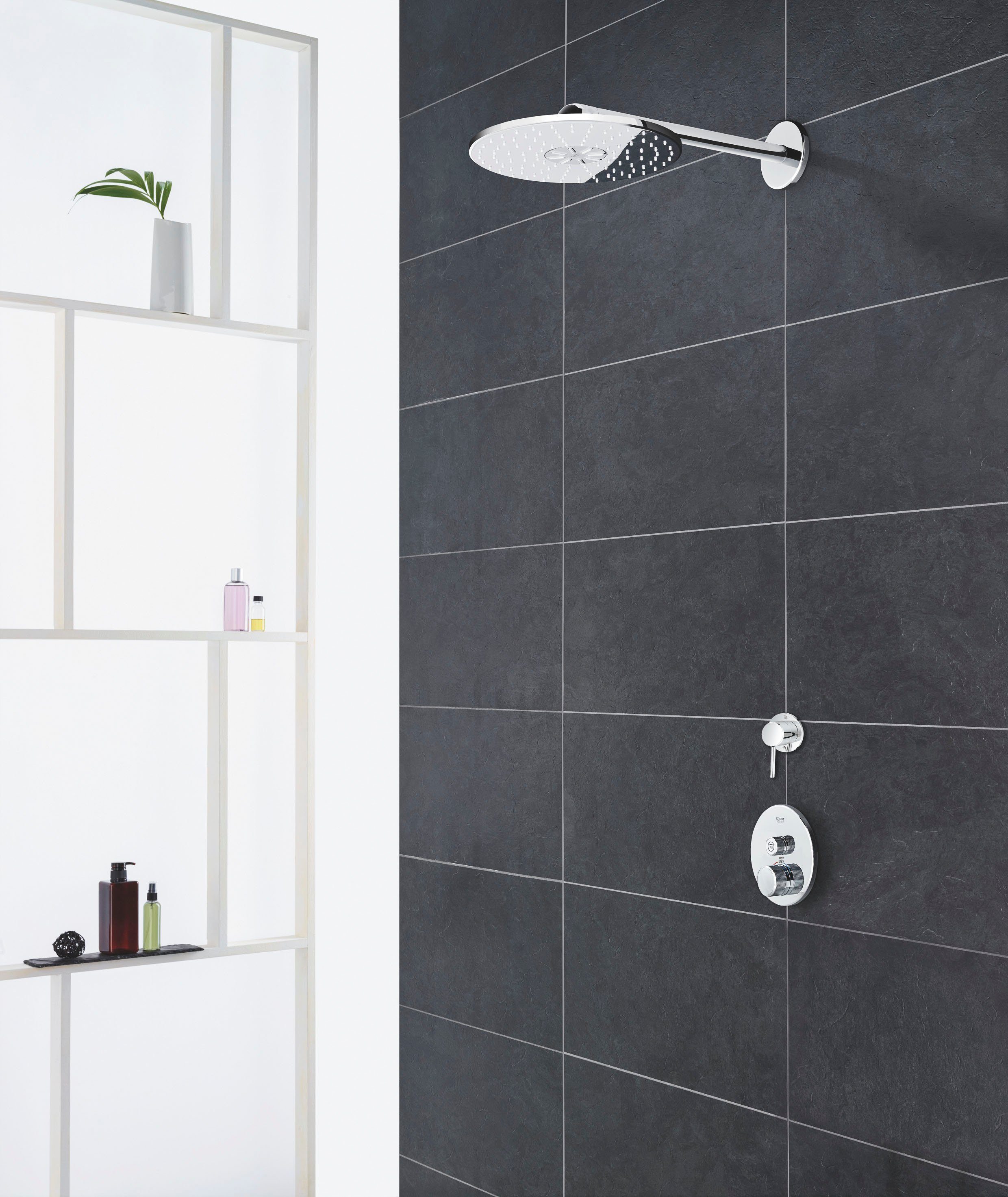 Kopfbrause Euphoria wassersparend 260, Grohe