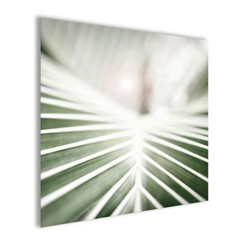 artissimo Glasbild Glasbild 30x30cm Bild Natur Blatt grün Tropical, Natur: Grünes Blatt