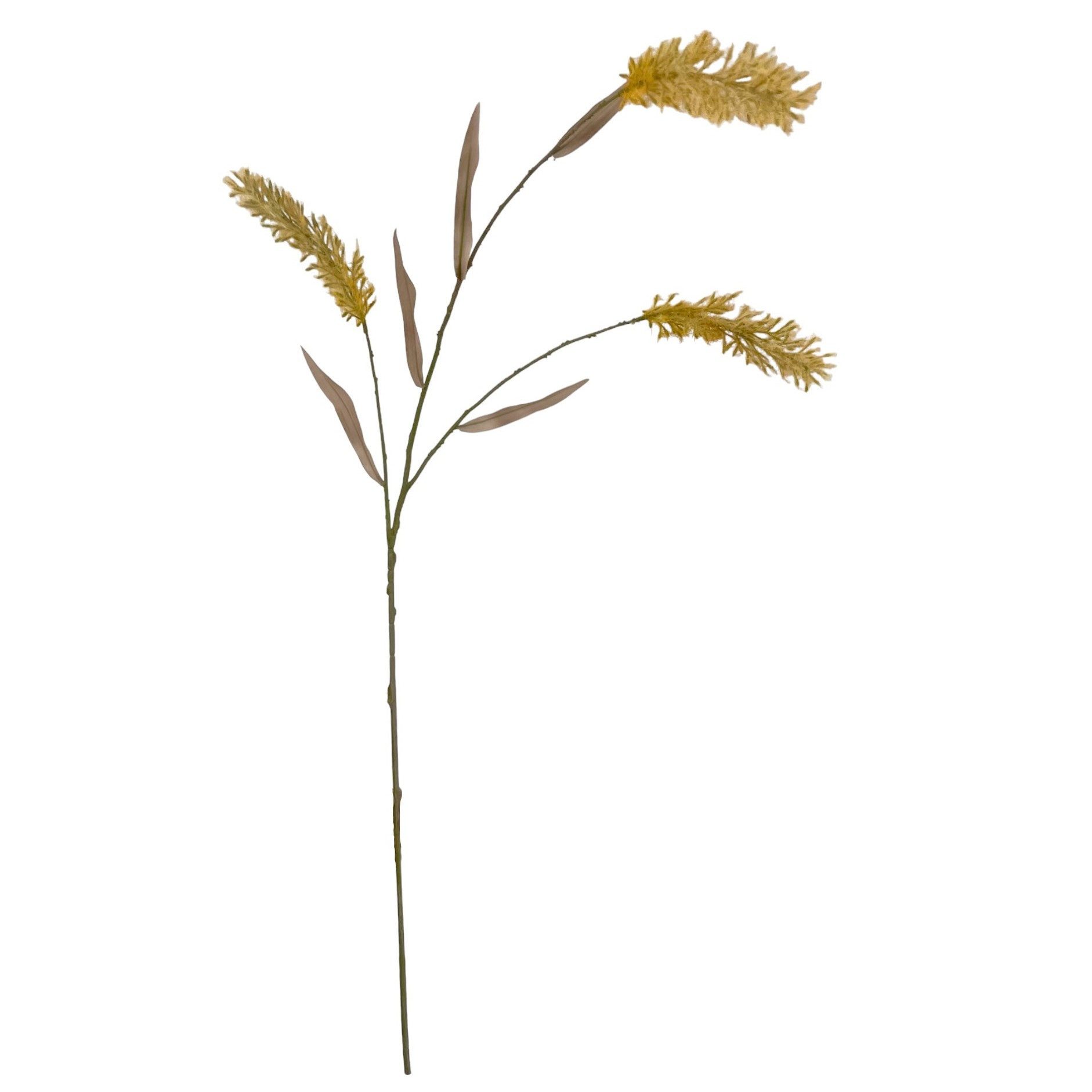 Kunstzweig Künstliches Pampasgras ca. 120cm CREME. Trockenblumen-Optik, Floratexx GmbH, Höhe 120.00 cm