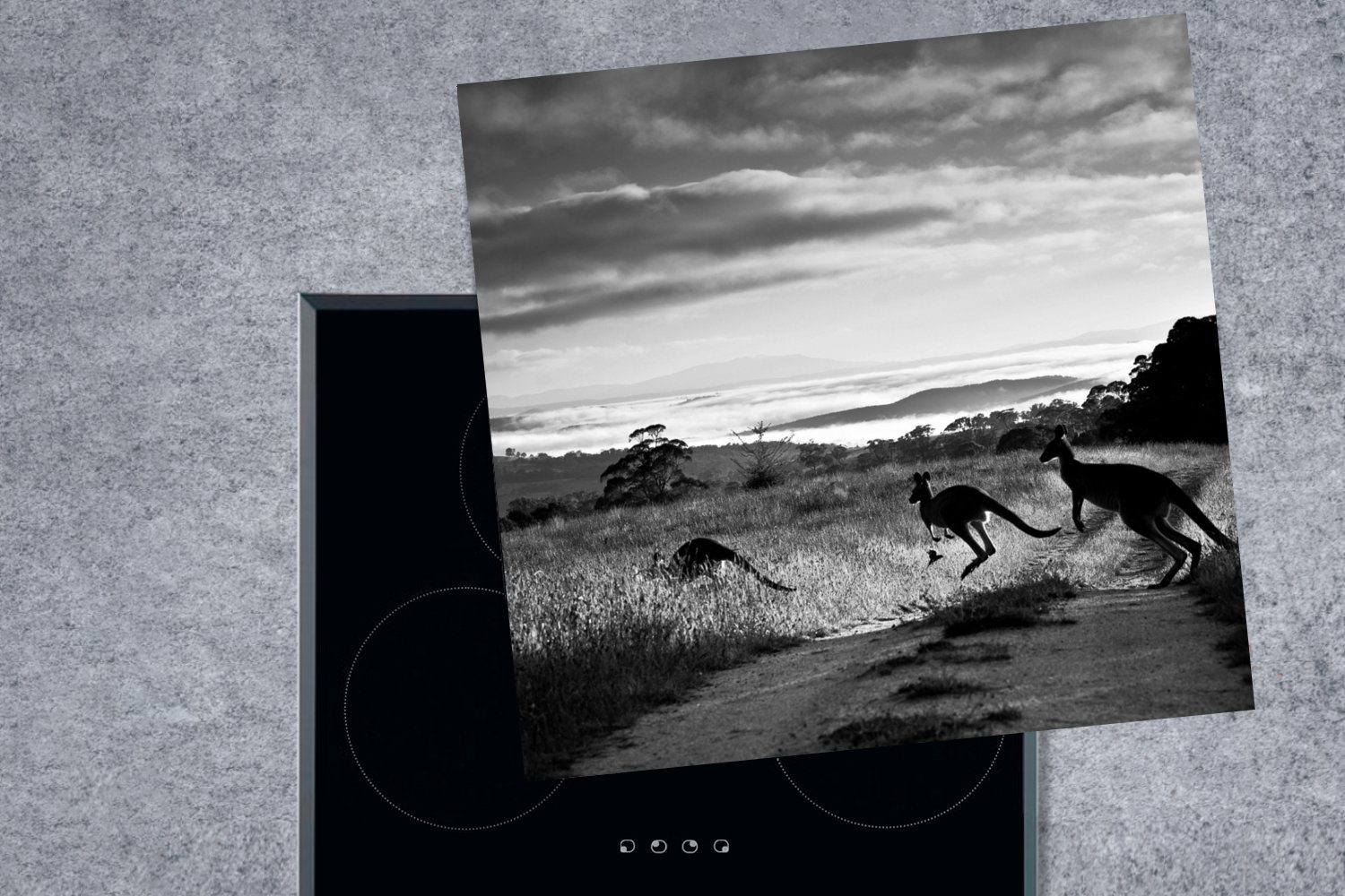 - tlg), - cm, Arbeitsplatte 78x78 MuchoWow Känguru Herdblende-/Abdeckplatte Australien Vinyl, (1 Weiß, Ceranfeldabdeckung, Schwarz - küche für