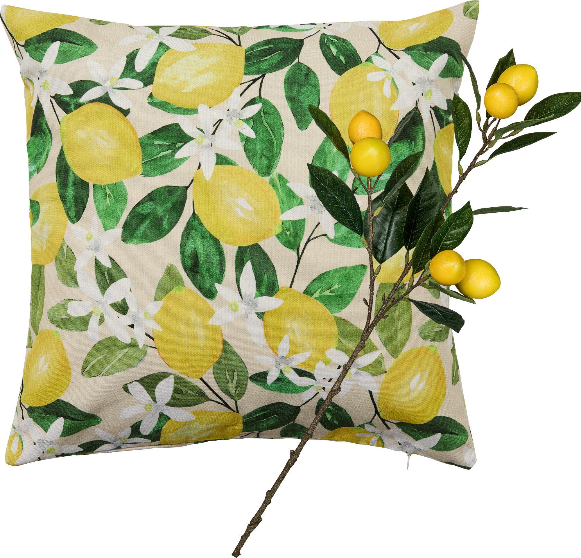 Kunstpflanze Geschenkset "Zitrone" 2-tlg. günstig online kaufen
