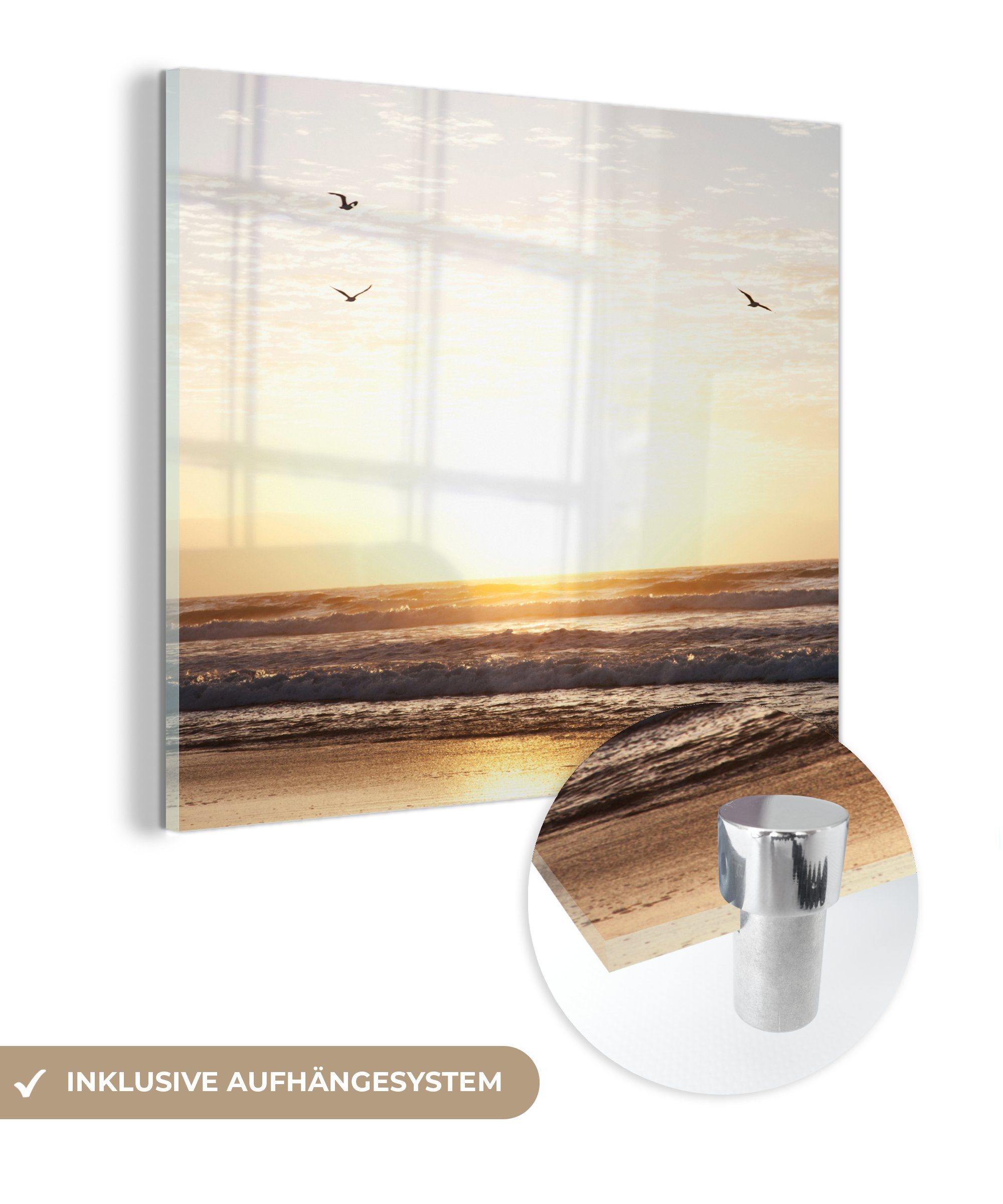 MuchoWow Acrylglasbild Sonne - Vogel - Meer, (1 St), Glasbilder - Bilder auf Glas Wandbild - Foto auf Glas - Wanddekoration