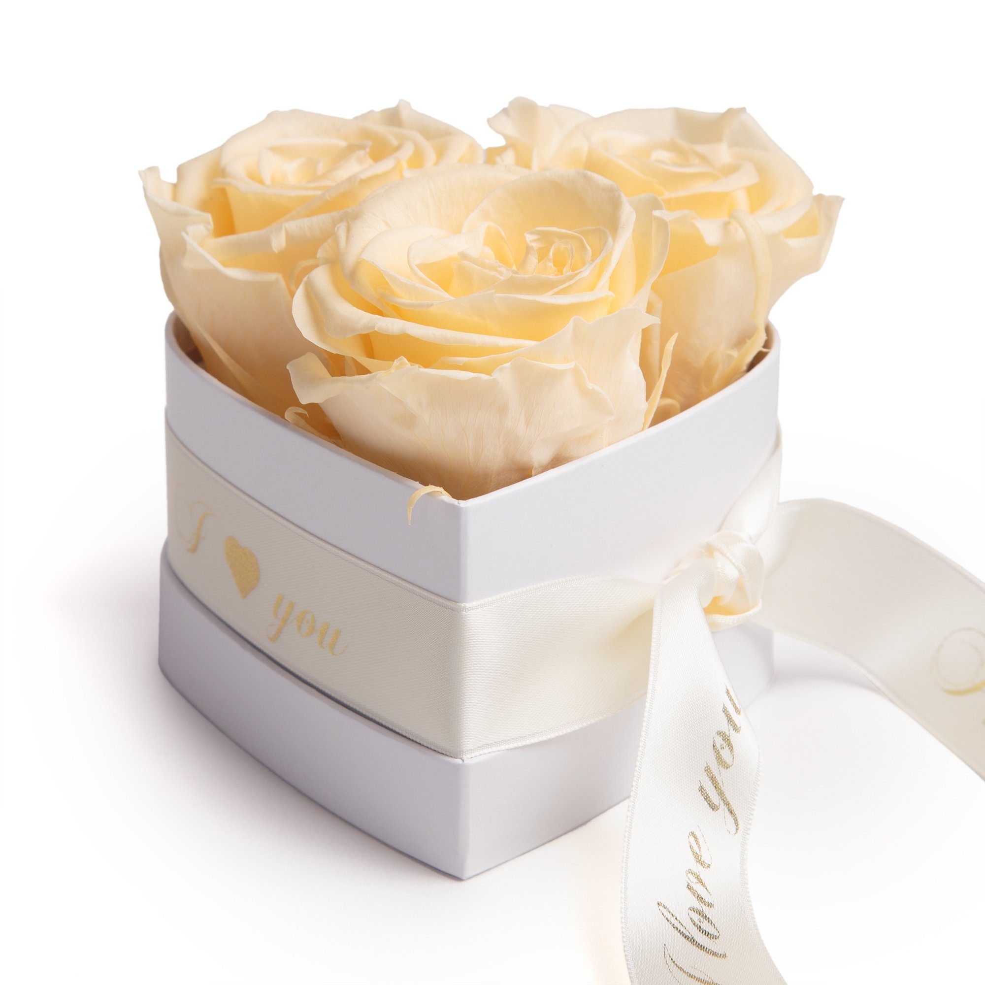 ROSEMARIE Sie Geschenk Infinity in für konservierte Valentinstag Box Heidelberg, I You Love 3 cm, Rosenbox Herz Rose, Höhe Rosen Kunstblume Champagner 8.5 SCHULZ