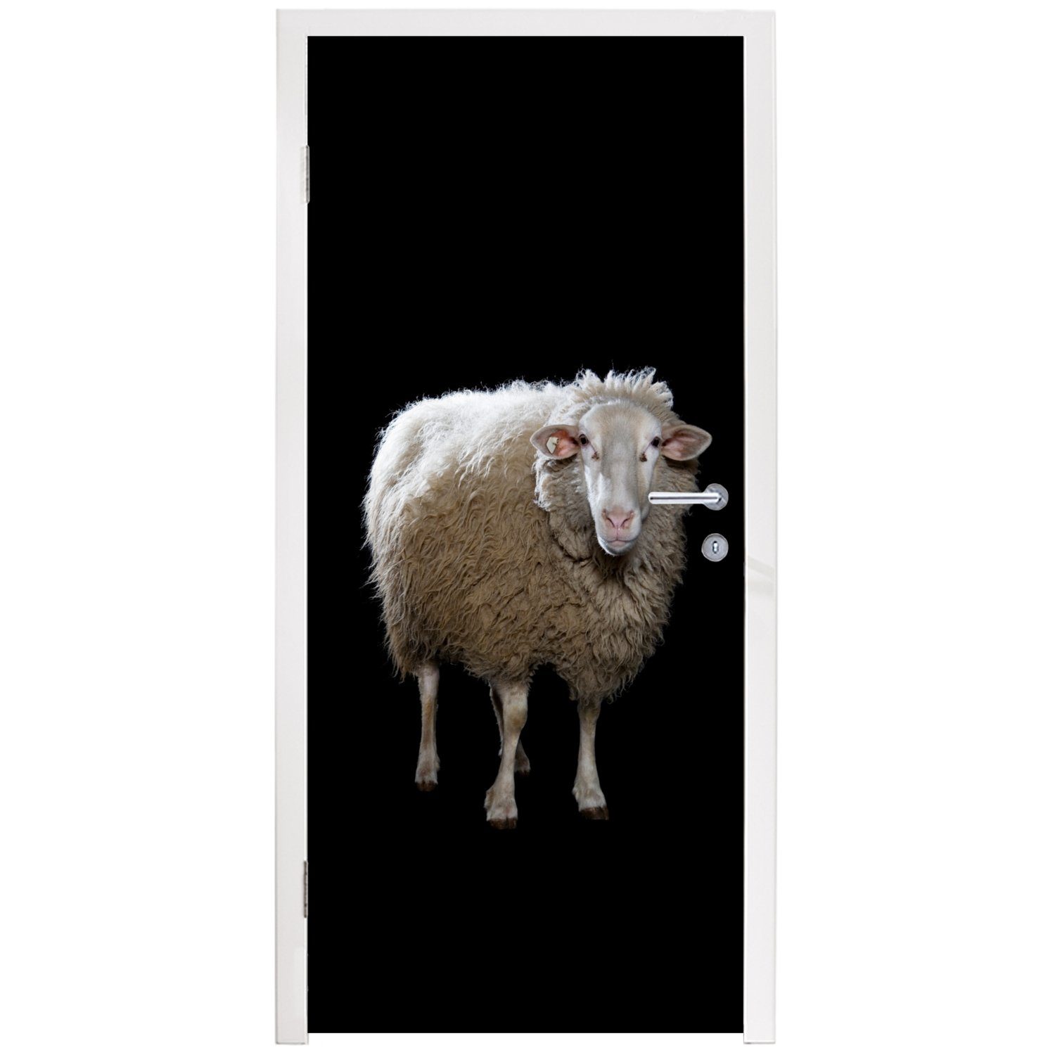 - 75x205 Schafe Türtapete St), Türaufkleber, Matt, - (1 cm Fototapete Nutztiere für Schwarz, MuchoWow Tür, bedruckt,