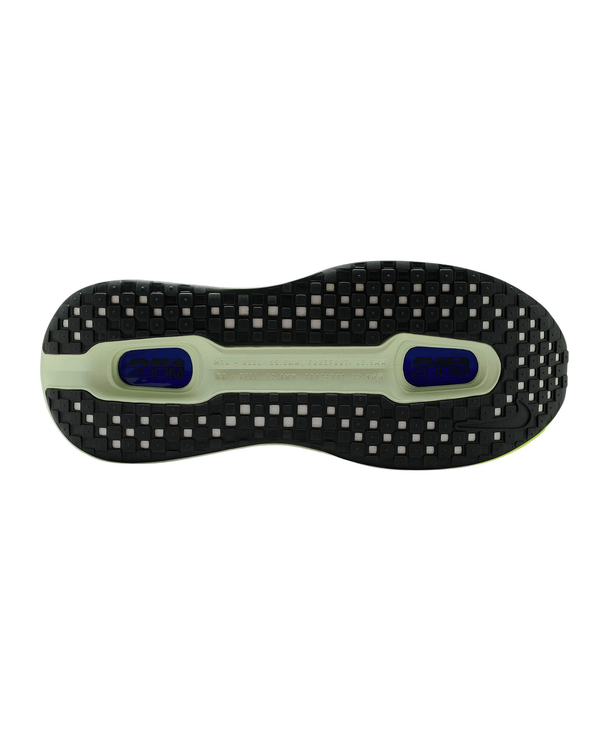 Nike Nike Performance Vomero Premium Laufschuh Laufschuh