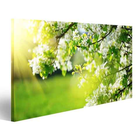 islandburner Leinwandbild Bild auf Leinwand Frühling Blüten Naturszene Mit Blühendem Baum Und So