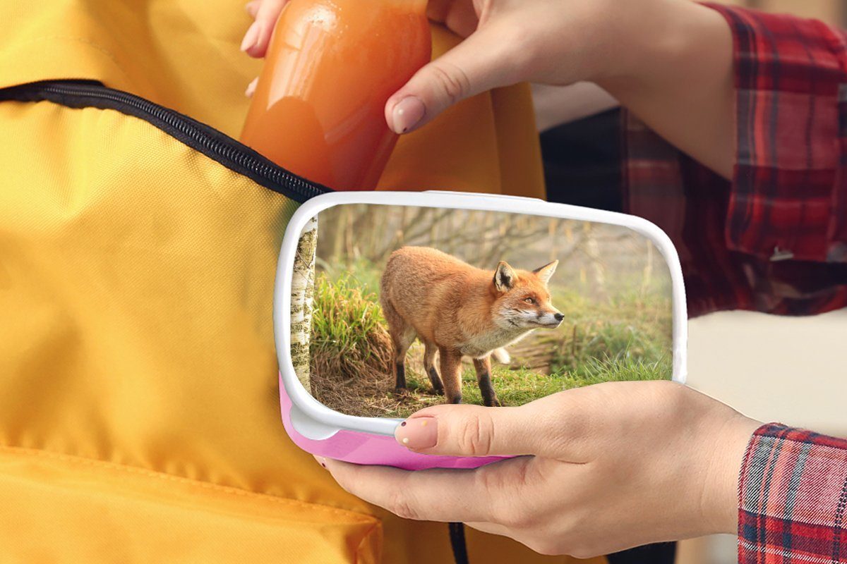 Licht, Kunststoff, - Kinder, (2-tlg), Brotbox für Fuchs MuchoWow - rosa Kunststoff Lunchbox Brotdose Mädchen, Erwachsene, Wald Snackbox,
