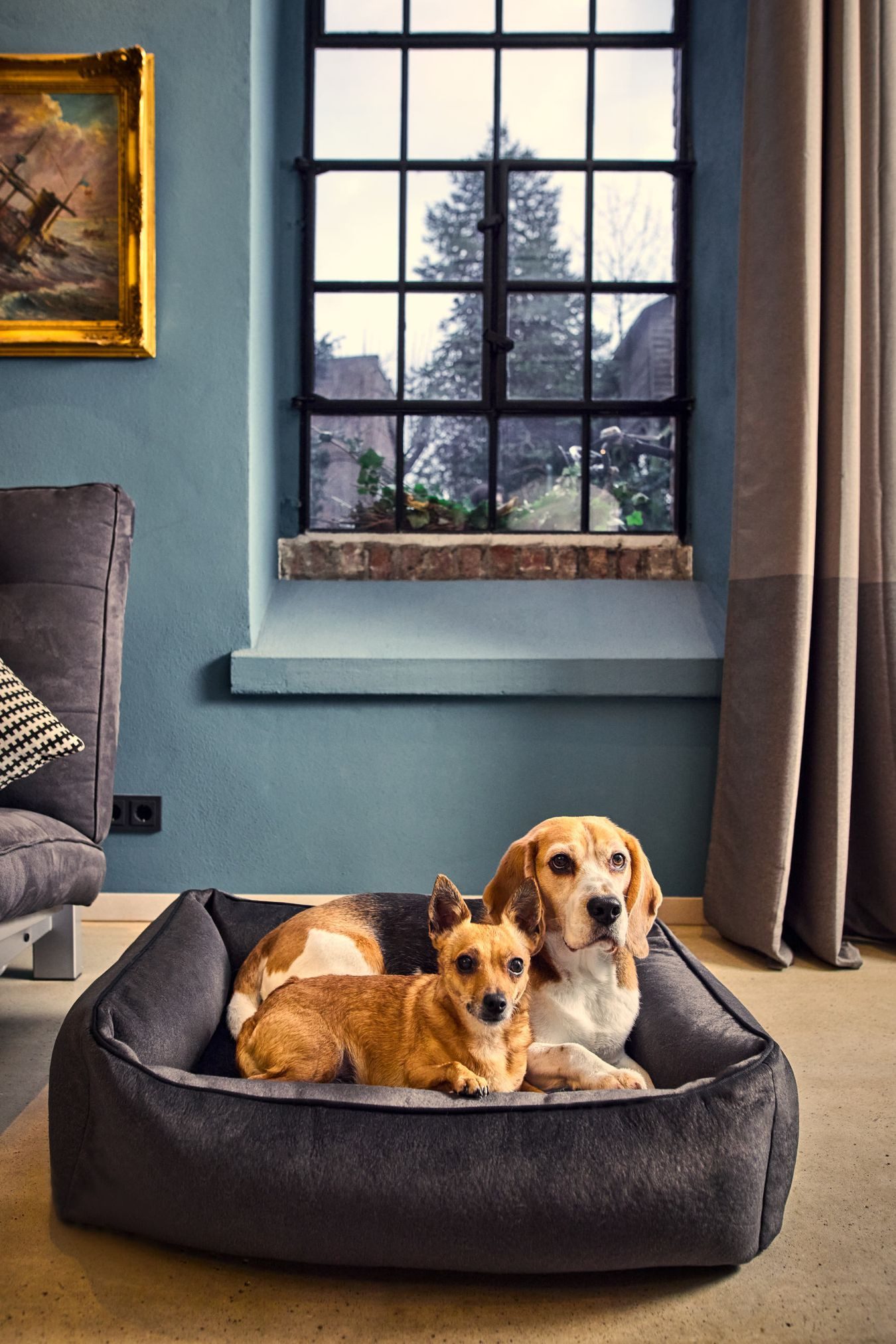 Thumbnail - Laboni Tierbett Laboni CLASSIC Hundebett BUFFALO in stylischem Vintage-Leder-Look