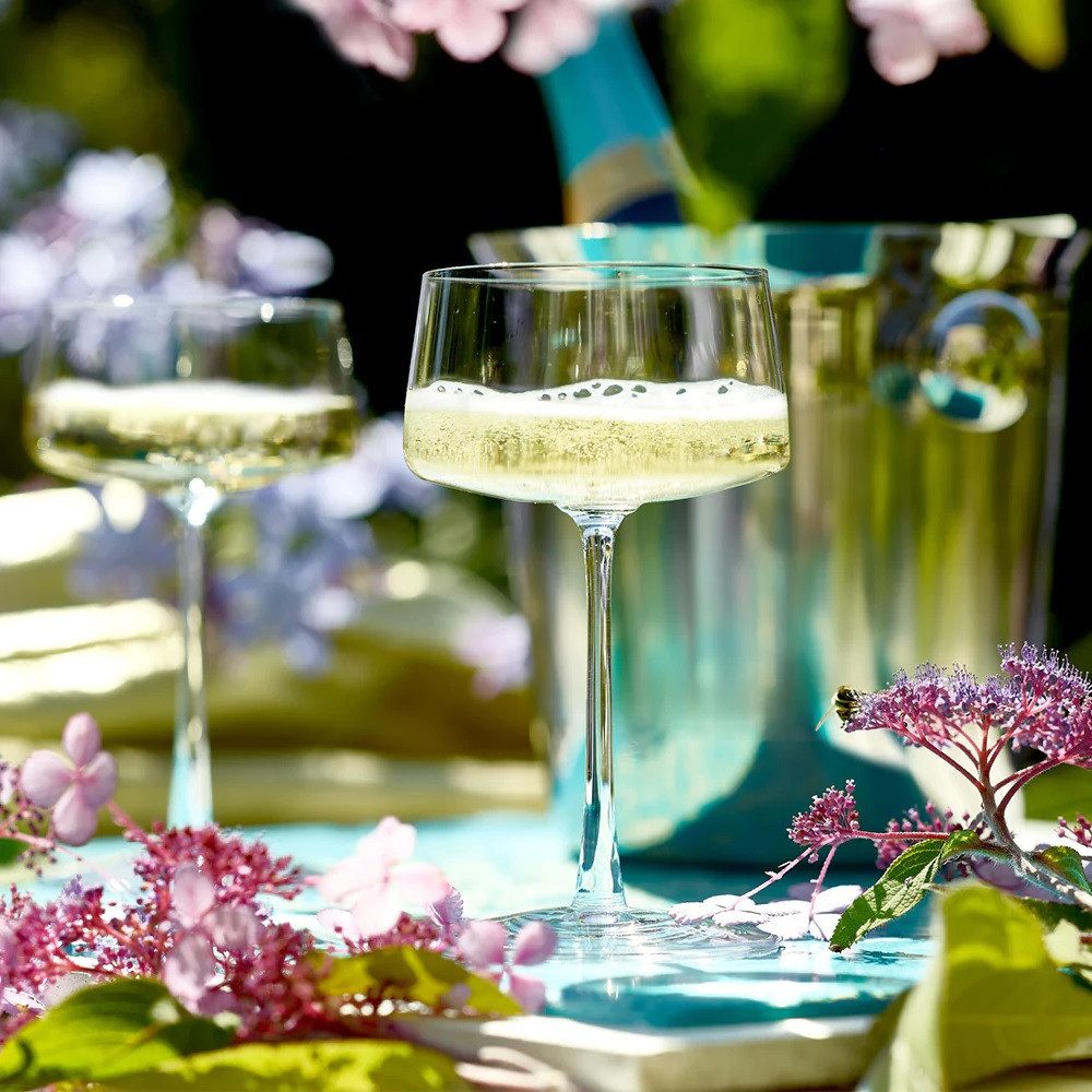 Stölzle Sektglas Stölzle Lausitz Power Champagnerschale 6er Set, Glas