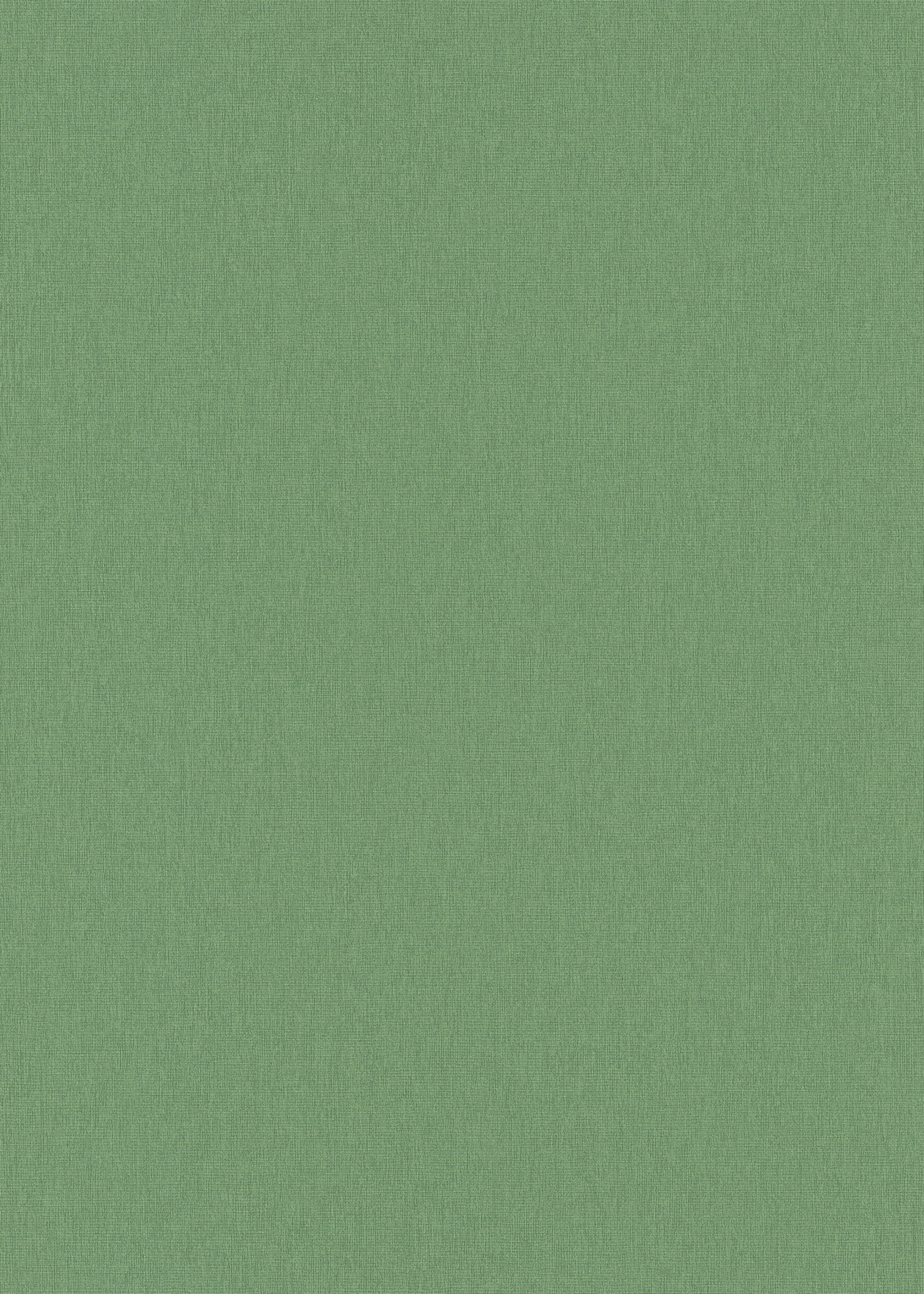 Erismann Vliestapete Vliestapete Colour Passion, geprägt, (1 St), Phthalate frei