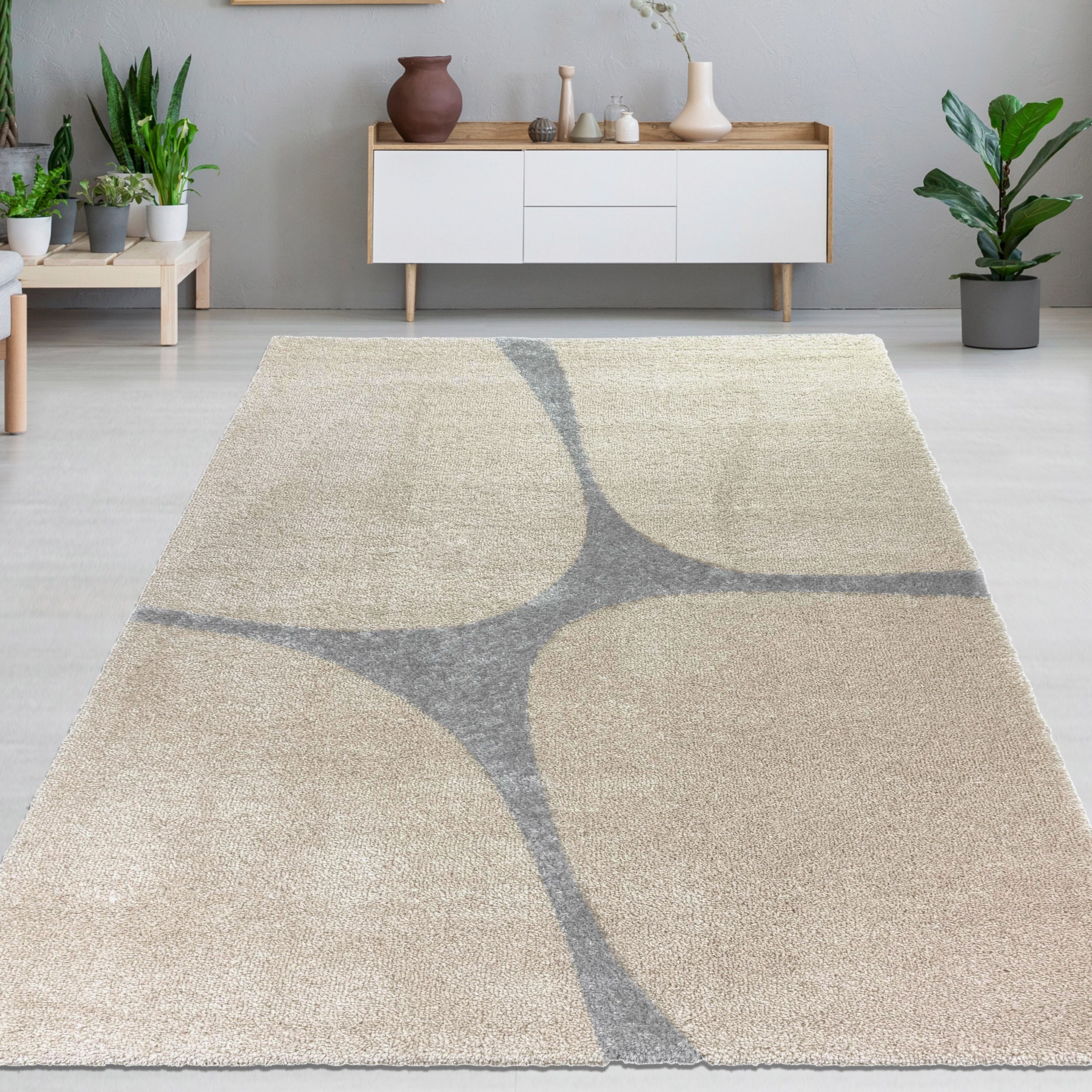 Carpetia Teppich Weicher Shaggy Teppich für Wohnzimmer modern in Beige Grau, rechteckig