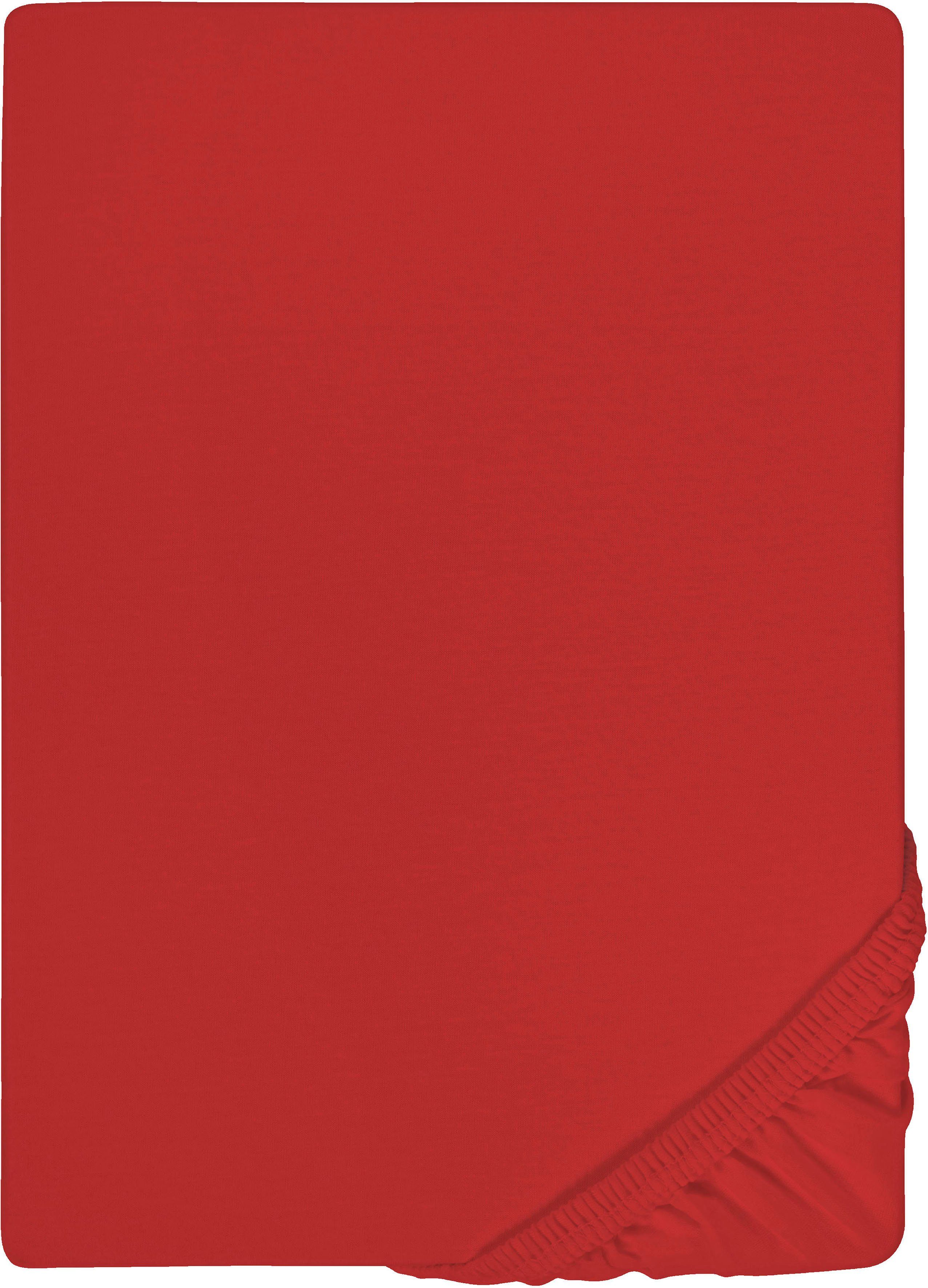 Biberna Spannbettlaken 0077866 Deluxe Jersey-Elastic Spannbetttuch 97% Baumwolle, Jersey-Elasthan, Gummizug: rundum, (1 Stück), Jersey mit Elasthan, Rundumgummi, bügelfrei, ab Größe 90 x 190 cm i