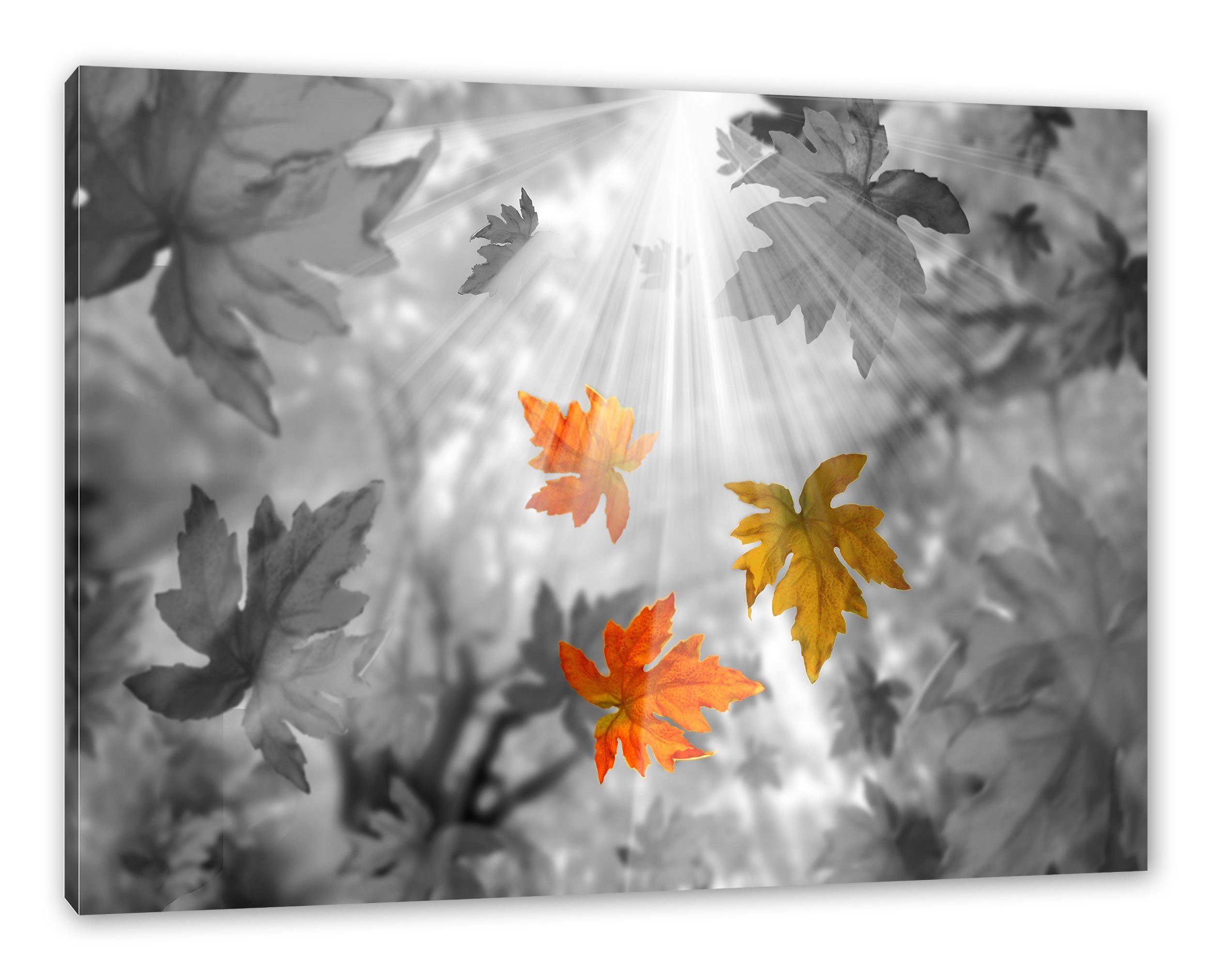 St), Leinwandbild Herbstblätter bespannt, herabfallende Leinwandbild (1 Herbstblätter, Pixxprint Zackenaufhänger fertig inkl. herabfallende
