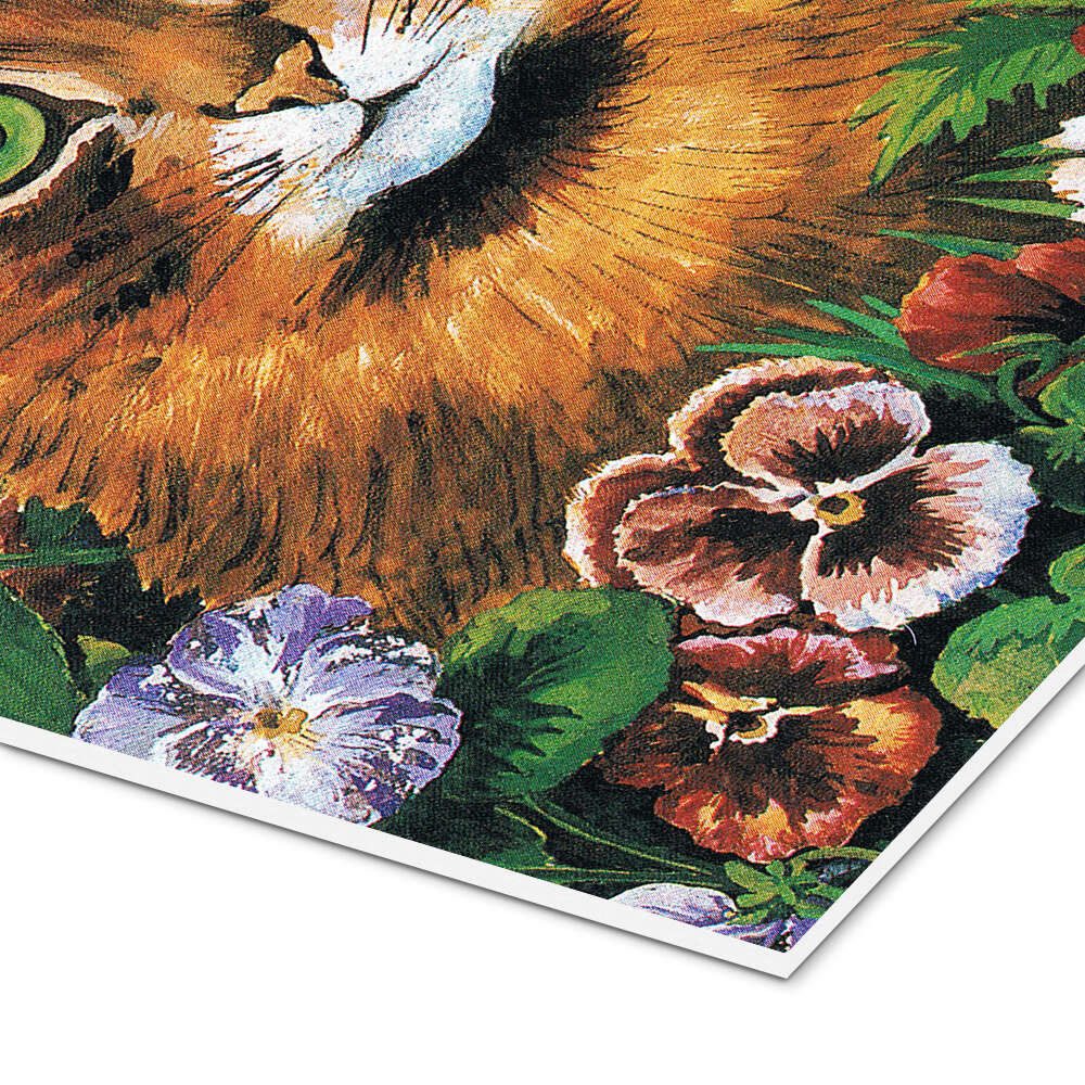 Posterlounge Wandbild Katzenstudie, Louis Wain, erhältlich als Poster, Leinwandbild, Wandsticker oder Acrylglasbild