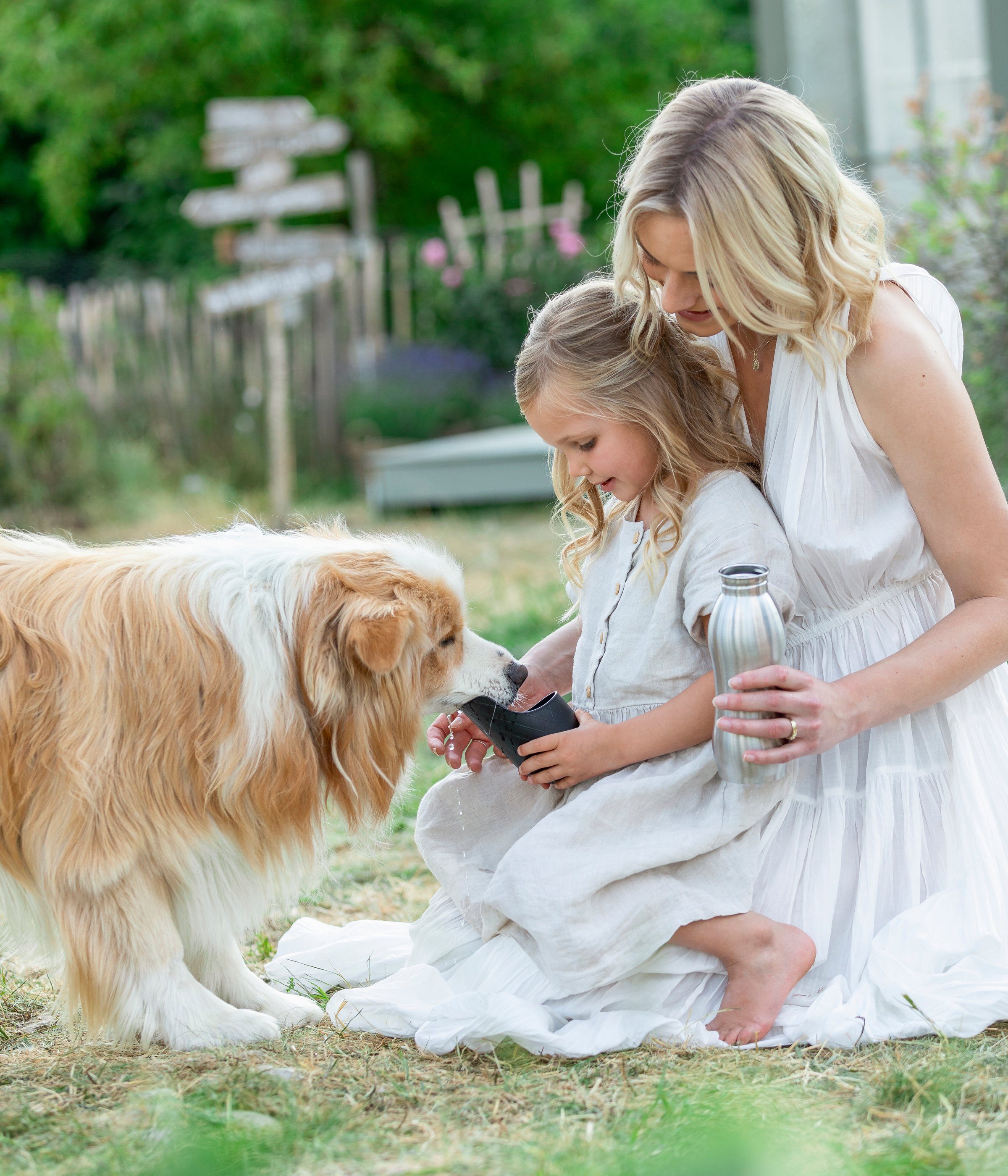 Dehner Futternapf Hundetrinkflasche Travel, auch als günstig online kaufen