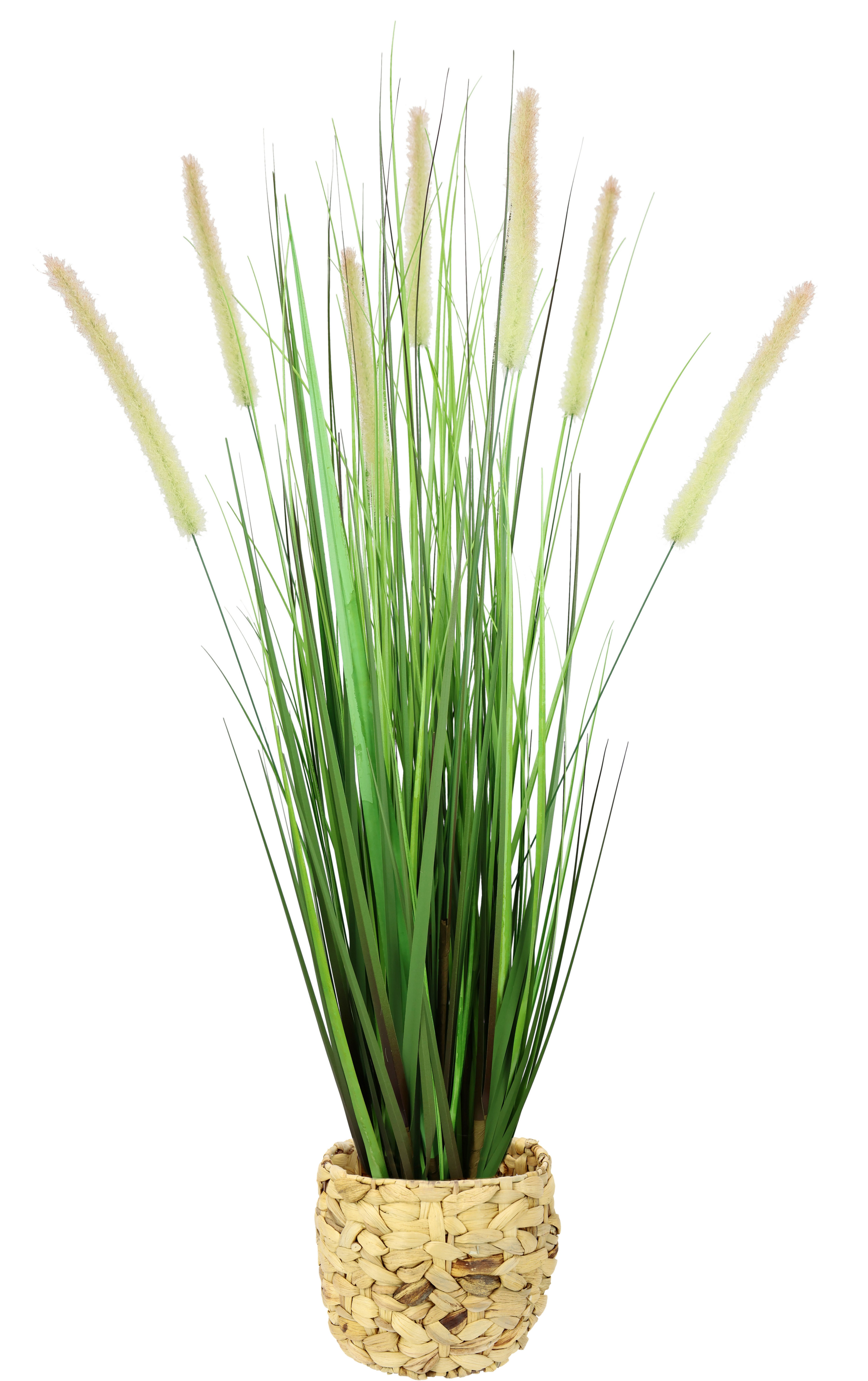 Kunstpflanze Gras Fuchsschwanzgras, I.GE.A., Höhe 90 cm günstig online kaufen