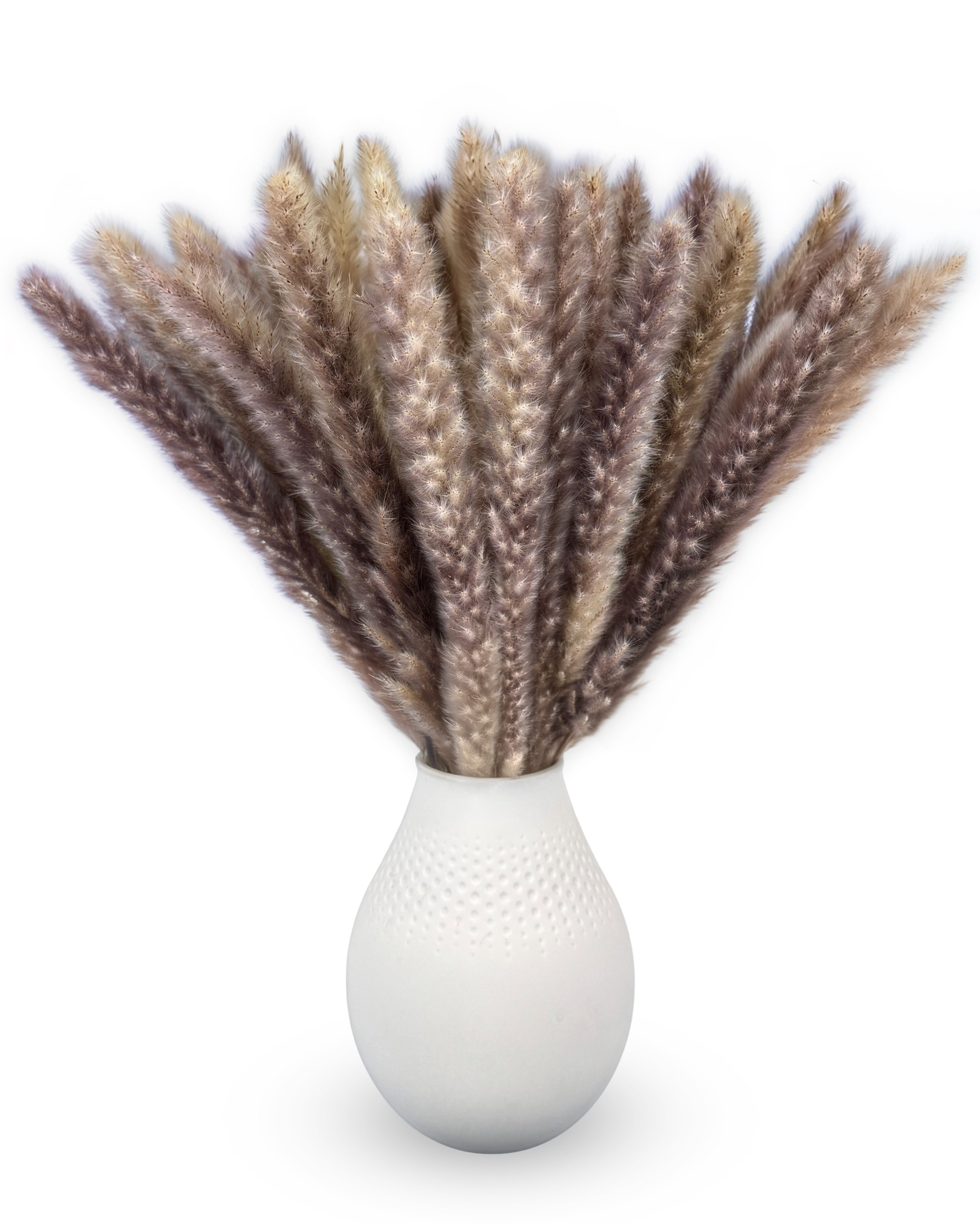 Trockenblume Pampasgras Deko braun 65-70cm lang Trockenblumen groß Blumen