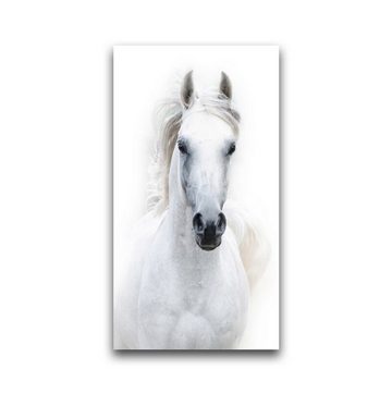 TPFLiving Kunstdruck (OHNE RAHMEN) Poster - Leinwand - Wandbild, Weißes Pferd - Schimmel (Verschiedene Größen), Farben: Leinwand bunt - Größe: 20x40cm