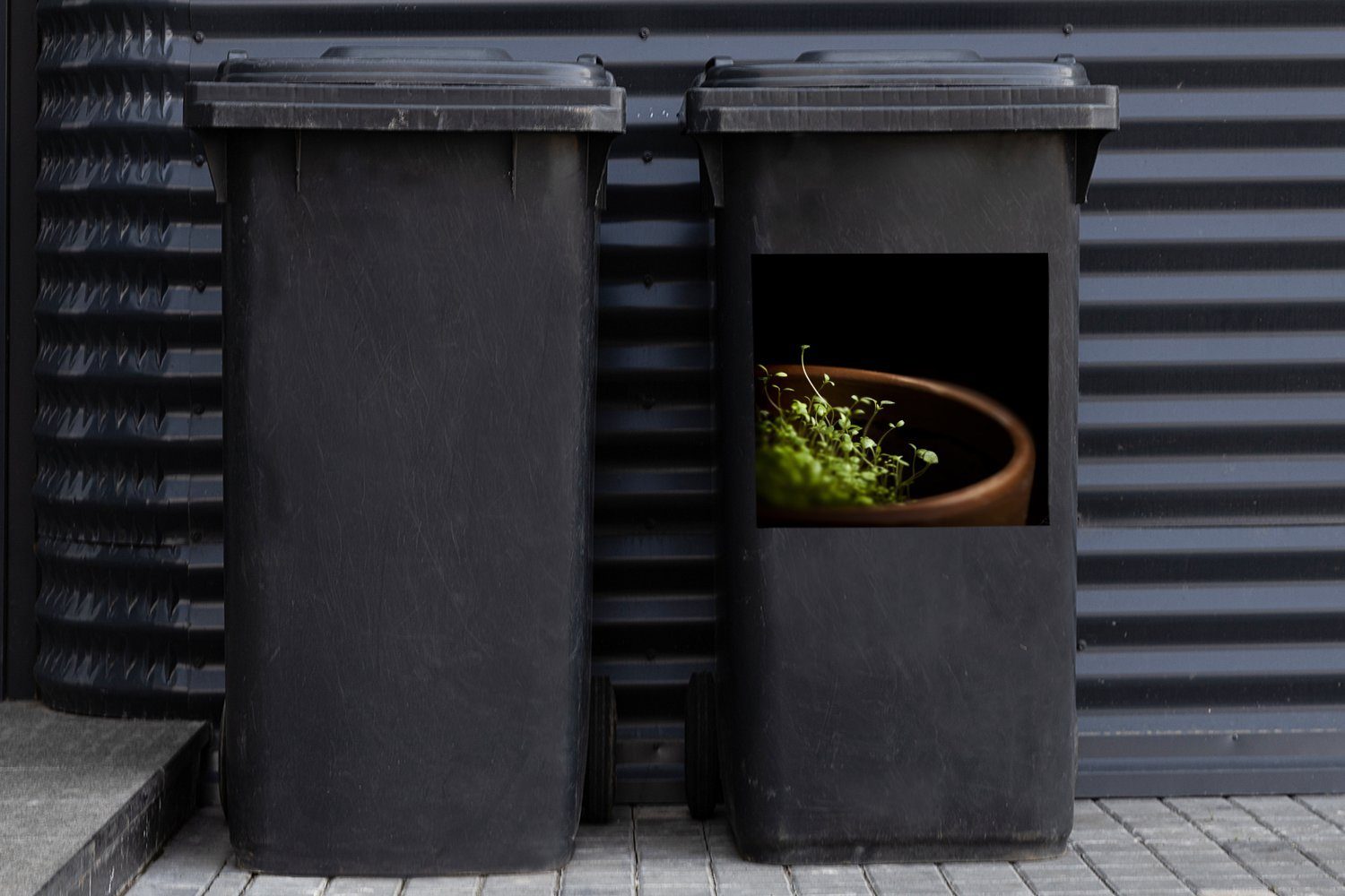 Mülltonne, MuchoWow Container, Abfalbehälter Thymian einem (1 Mülleimer-aufkleber, St), Sticker, von Pflanzung Tontopf Wandsticker in