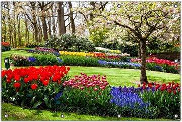Wallario Sichtschutzzaunmatten Bunte Blumen und Kirsch-Baum im Park blühen im Frühling