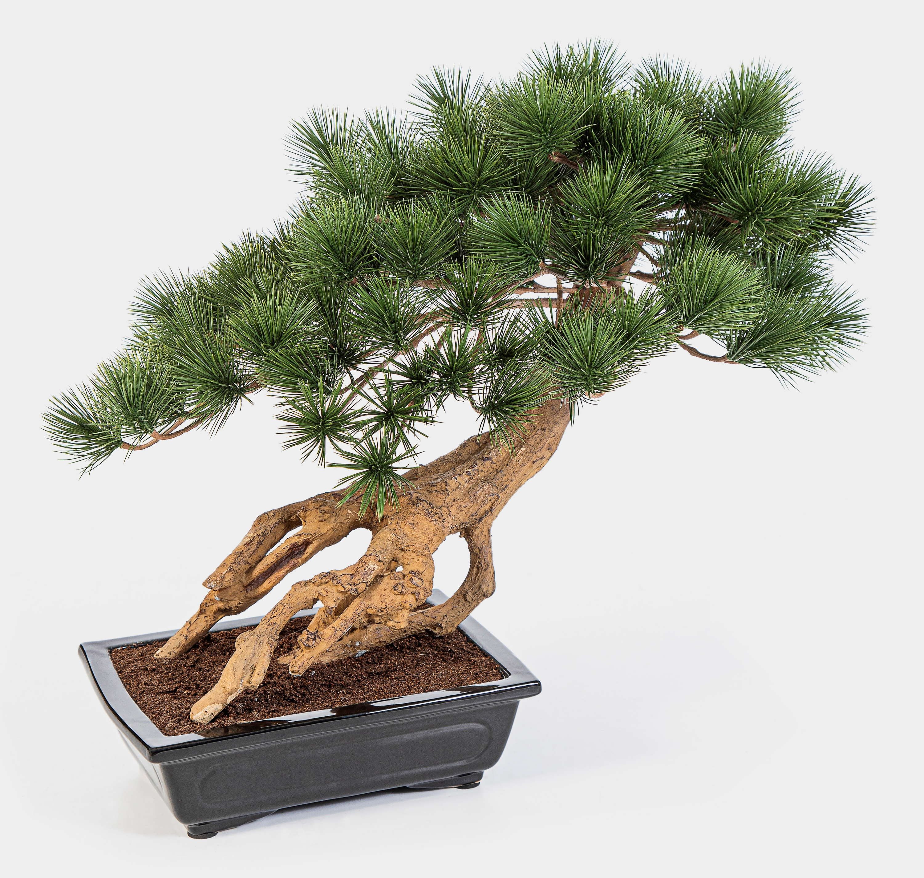 Kunstbonsai Künstlicher Bonsai SARINU in Pflanzschale, 55cm Pinie, artplants