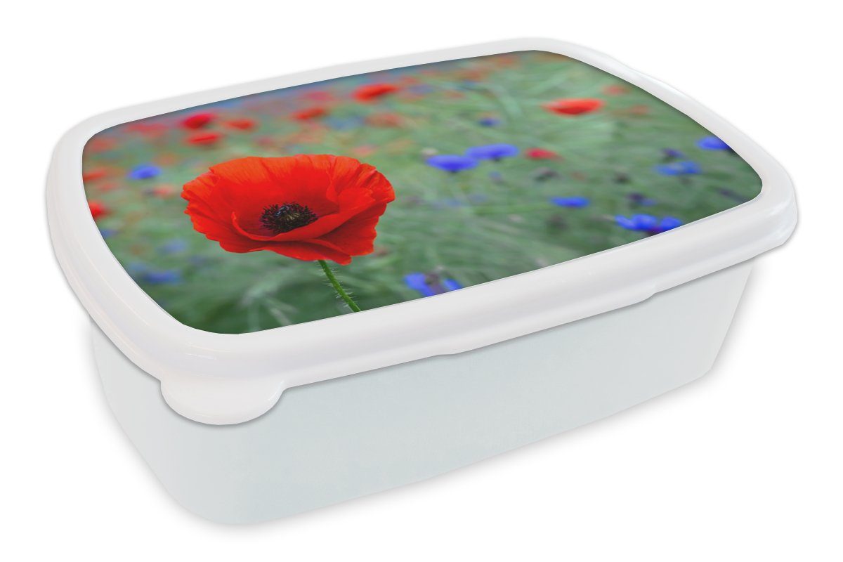 MuchoWow Lunchbox Lila und rote Mohnblumen auf einer Wiese, Kunststoff, (2-tlg), Brotbox für Kinder und Erwachsene, Brotdose, für Jungs und Mädchen weiß