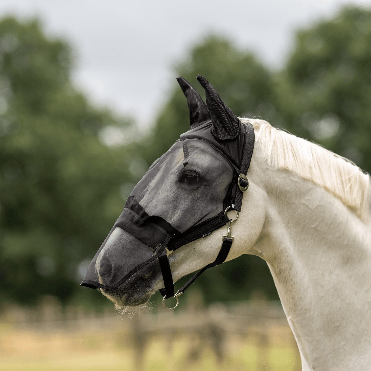 BUSSE Halfter Fliegenhalfter Fast Plus